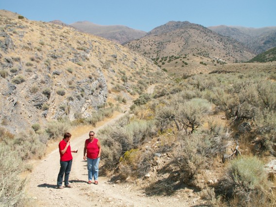 Two ladies walking
