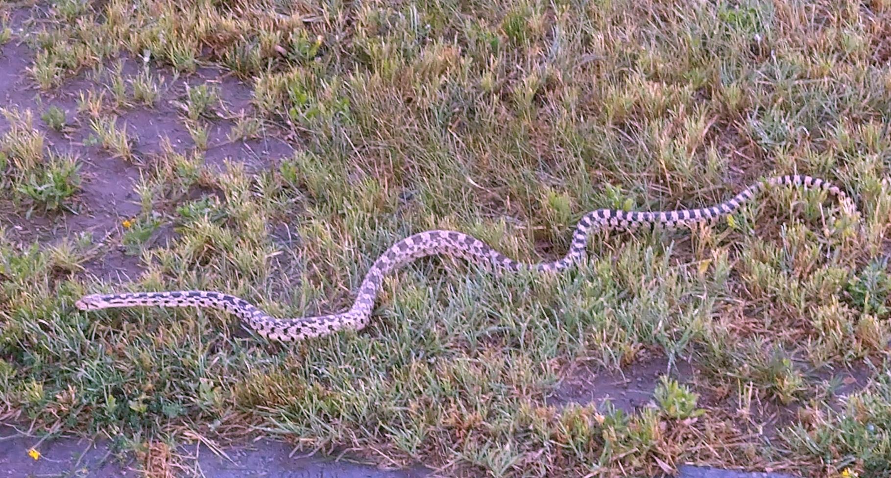 D20190611F174512507sm