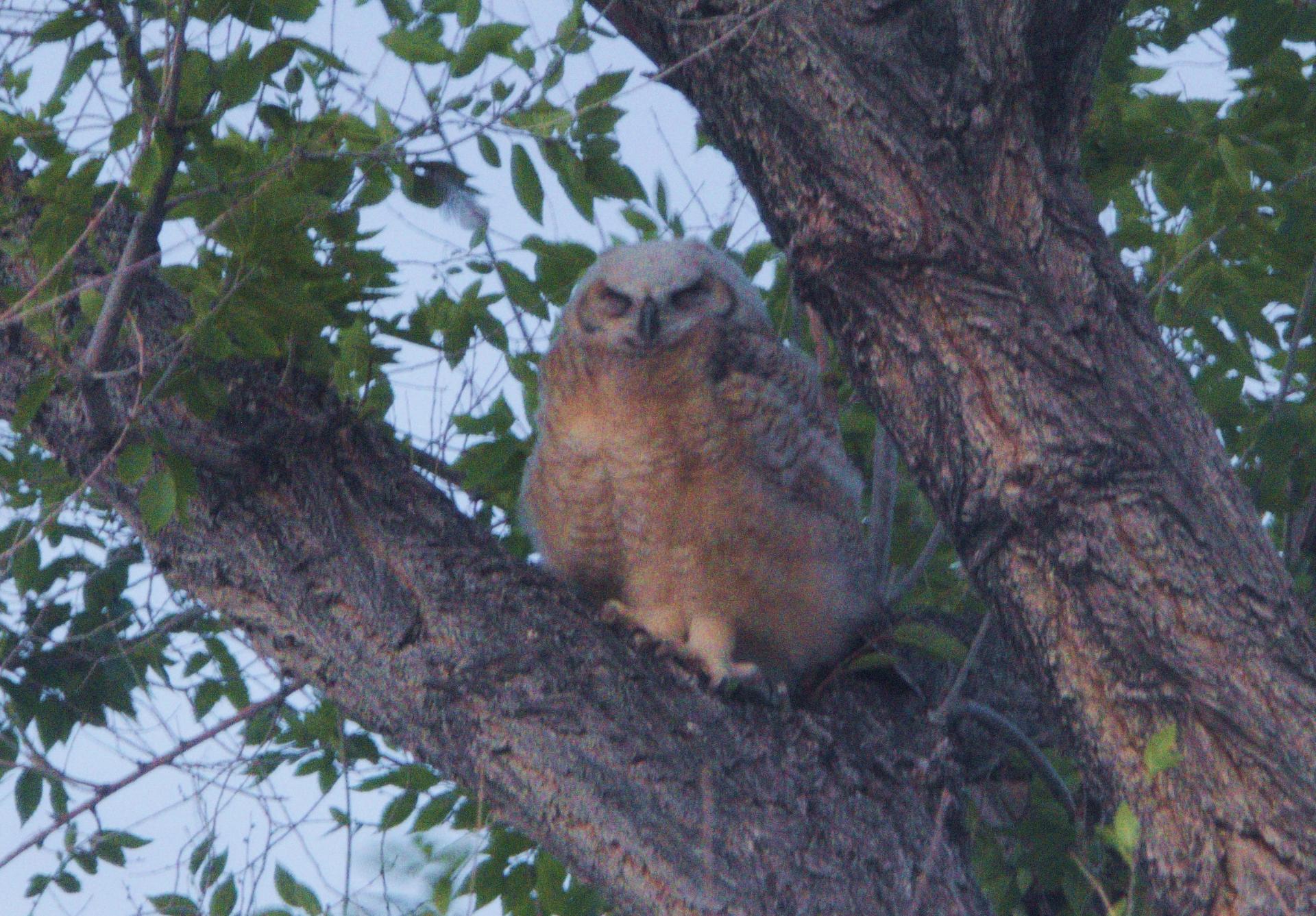 D20200524F1030987rwsm