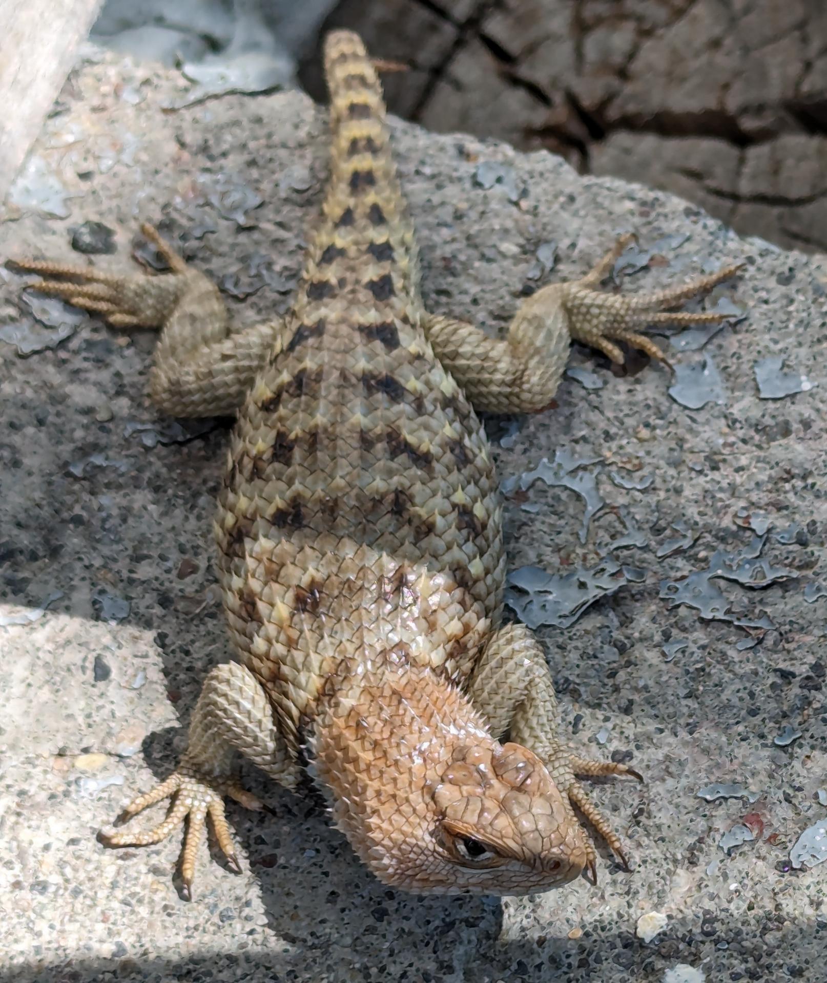 D20240527F220927794sm