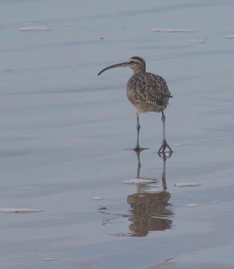 Im20040118dIMG2042sm