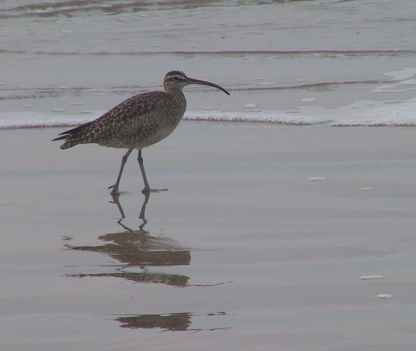 Im20040118dIMG2045sm