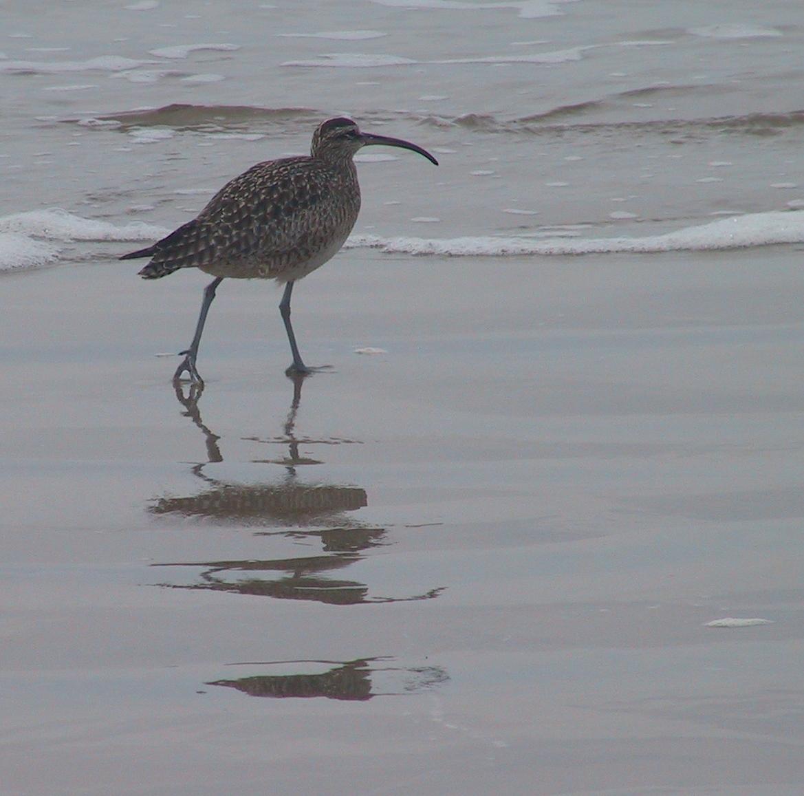 Im20040118dIMG2046sm