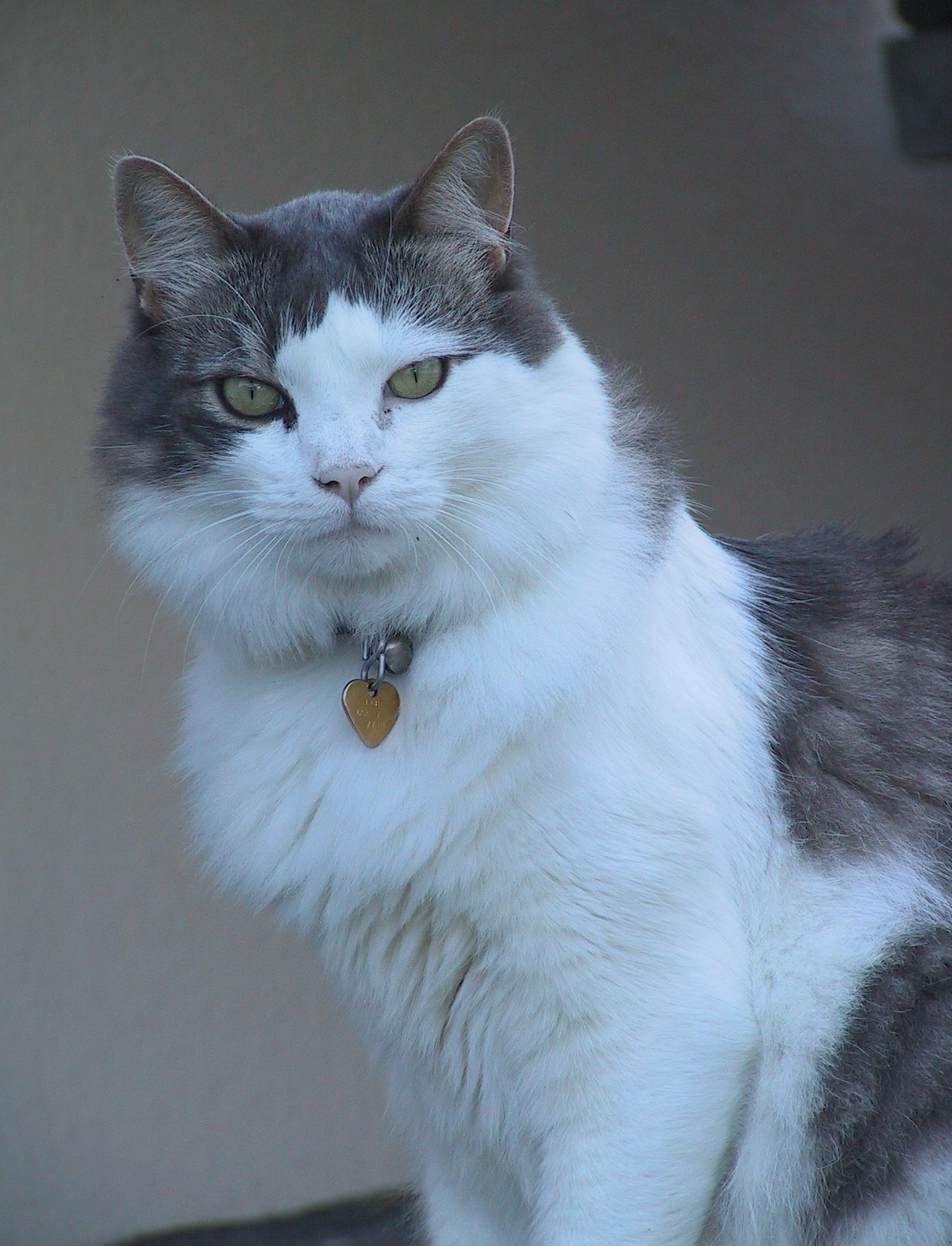 Im20041003dIMG6062RJsm