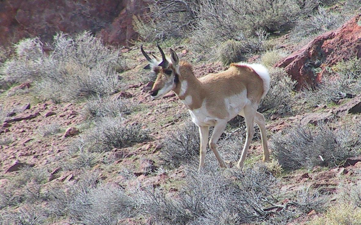 Im20050219dIMG_7523_RJsm