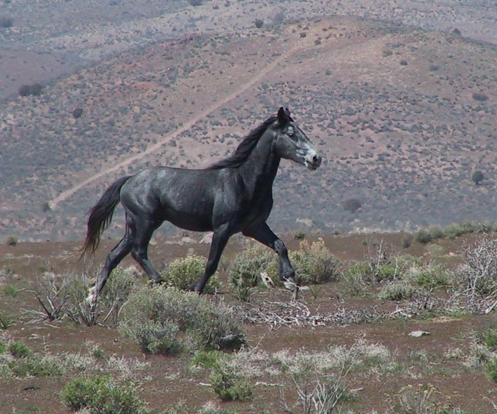 Im20050410dIMG8161RJsm