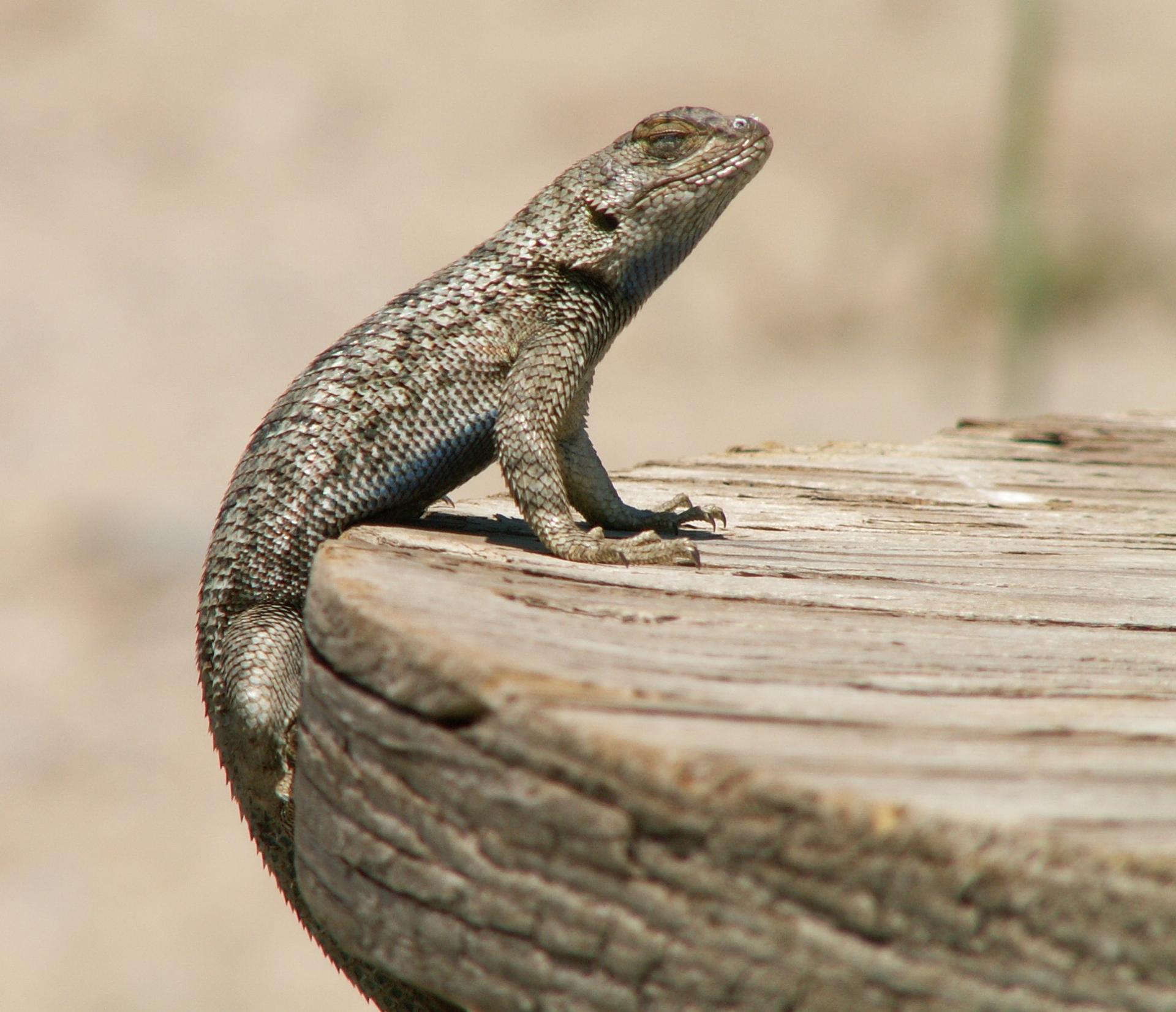 Im20050605mPICT0450sm