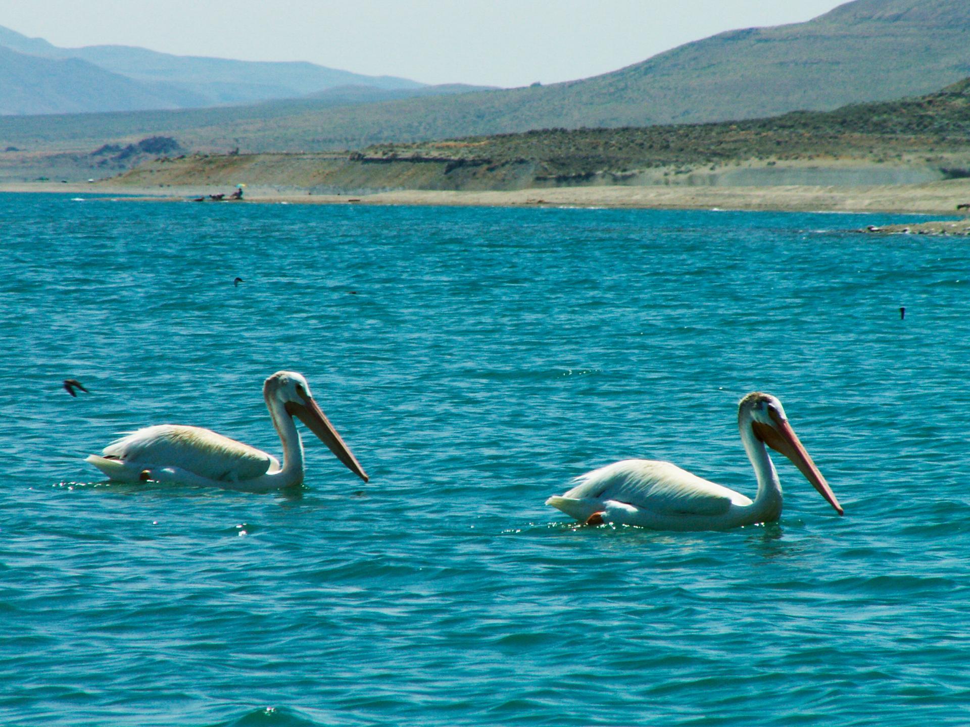 Im20050706mPICT1030sm