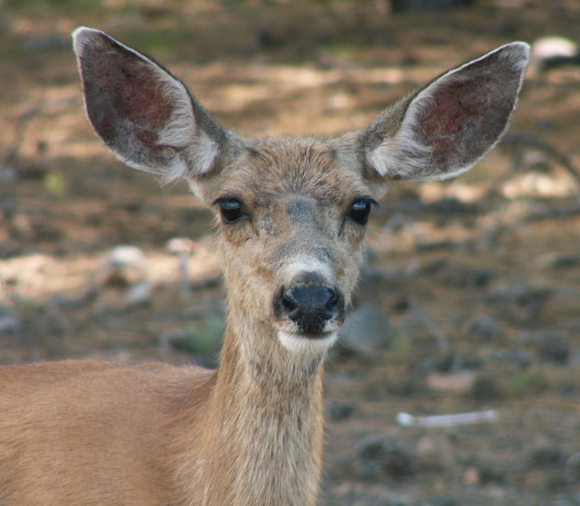 Im20050729mPICT0036sm