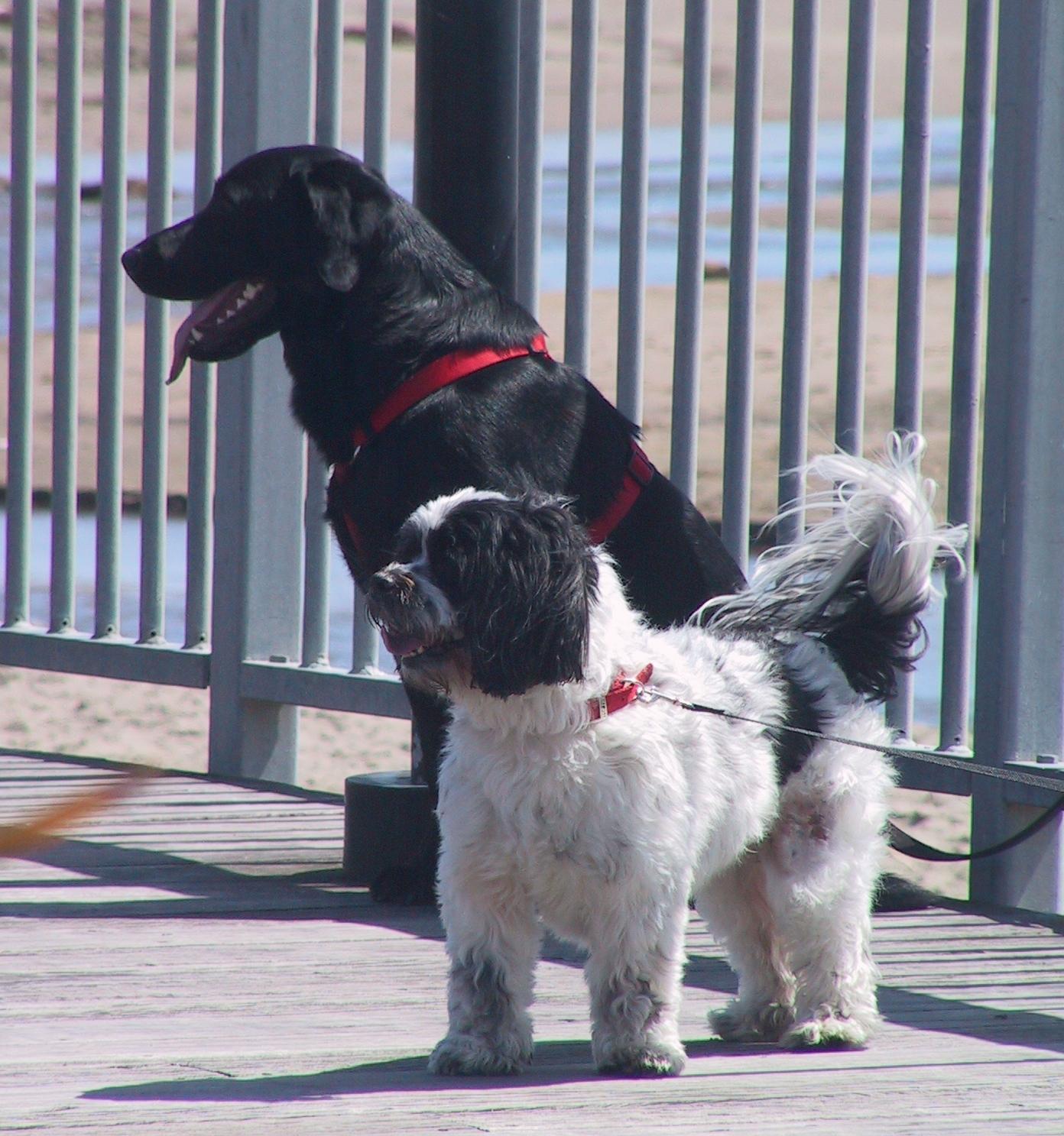 Im20060408dIMG_9780sm