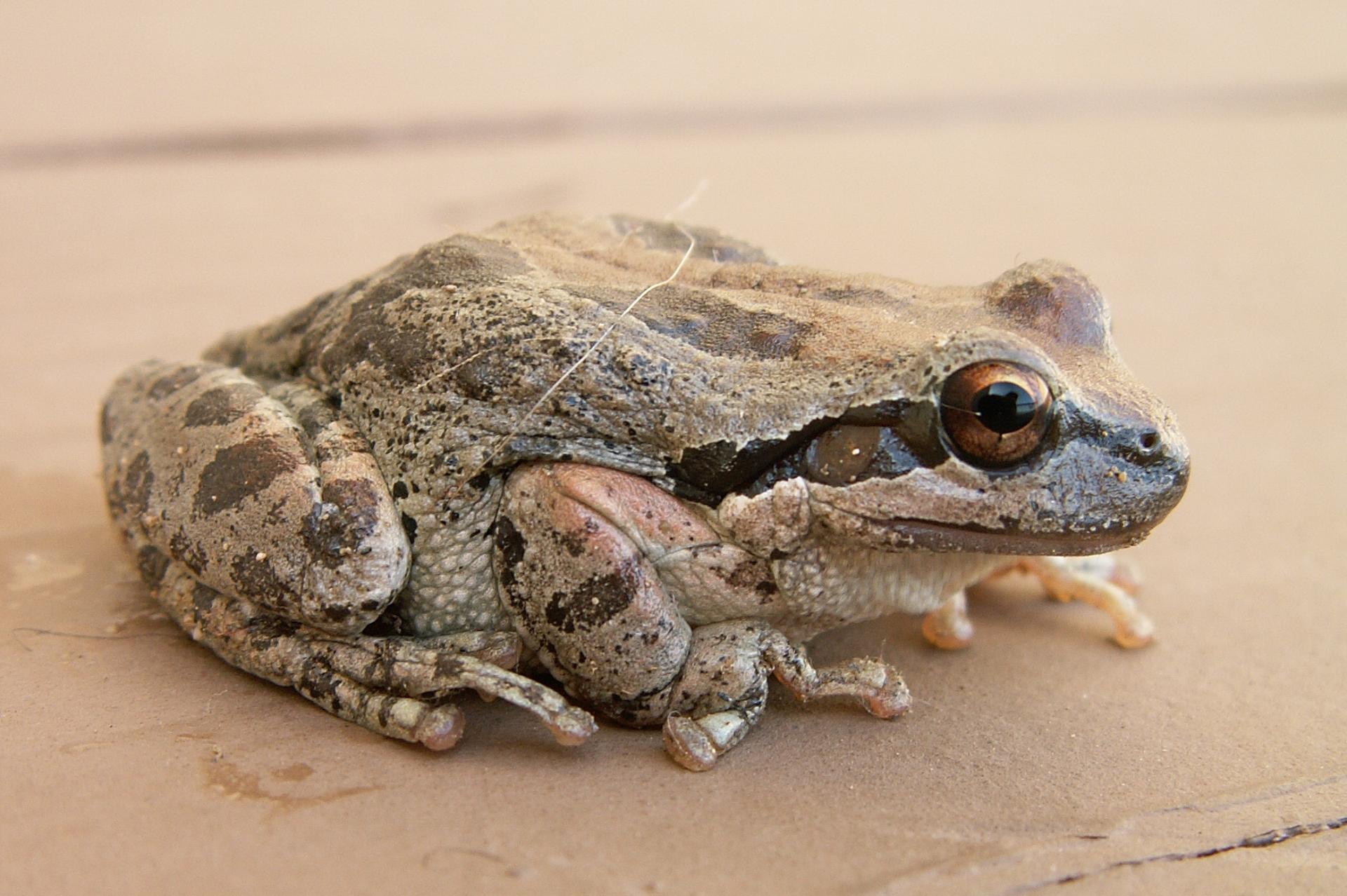 Im20070603cmPICT9711sm