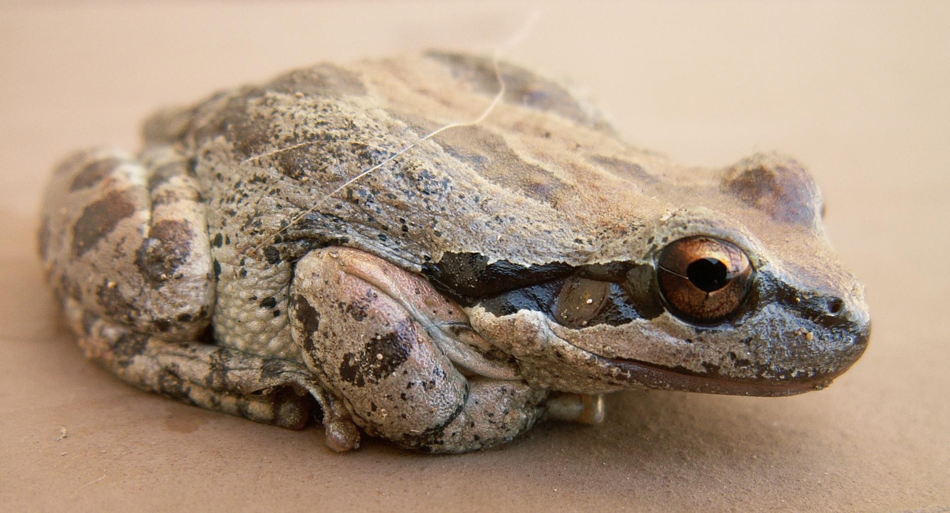 Im20070603cmPICT9714bsm