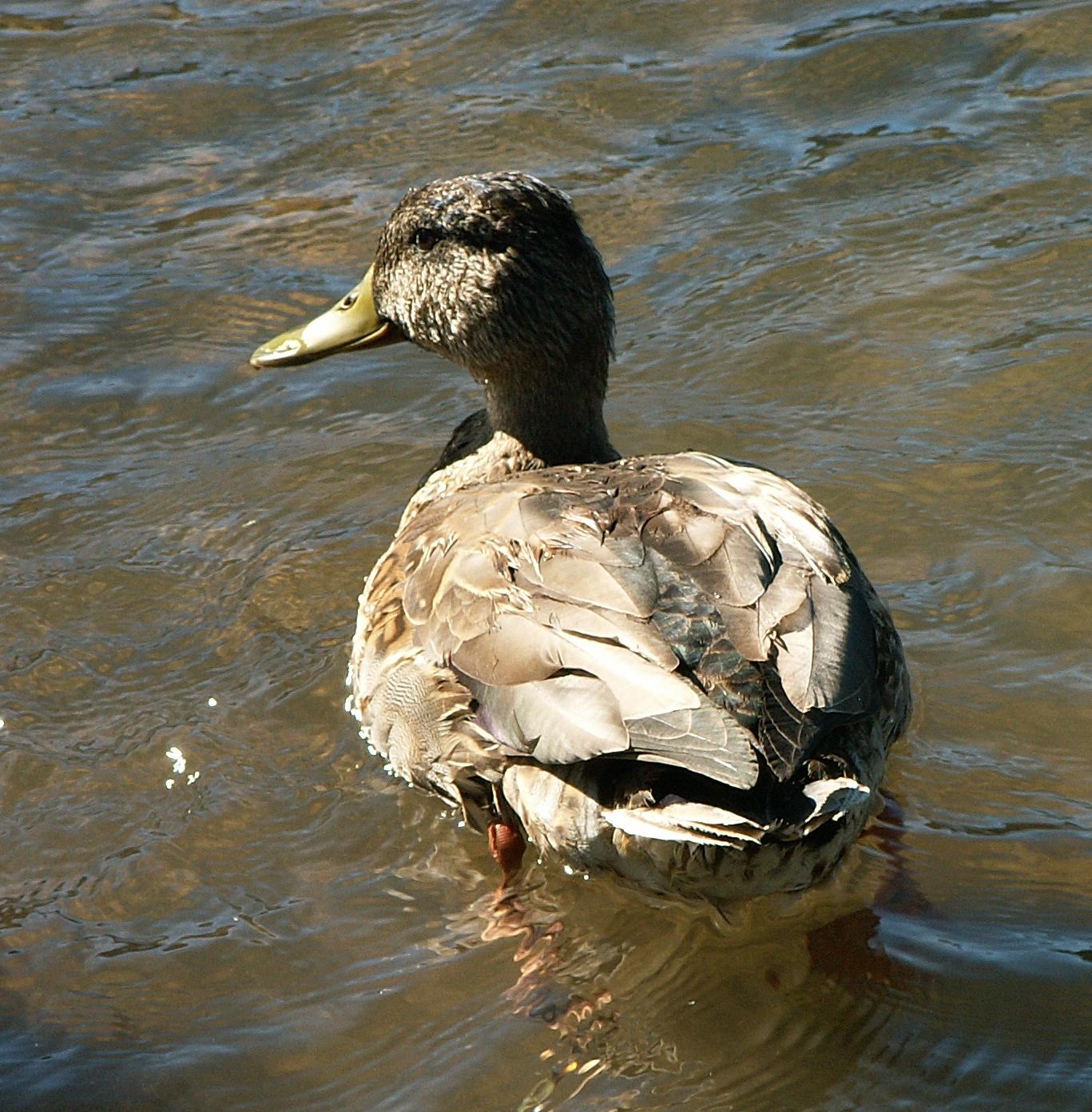 Im20070915mPICT0274sm