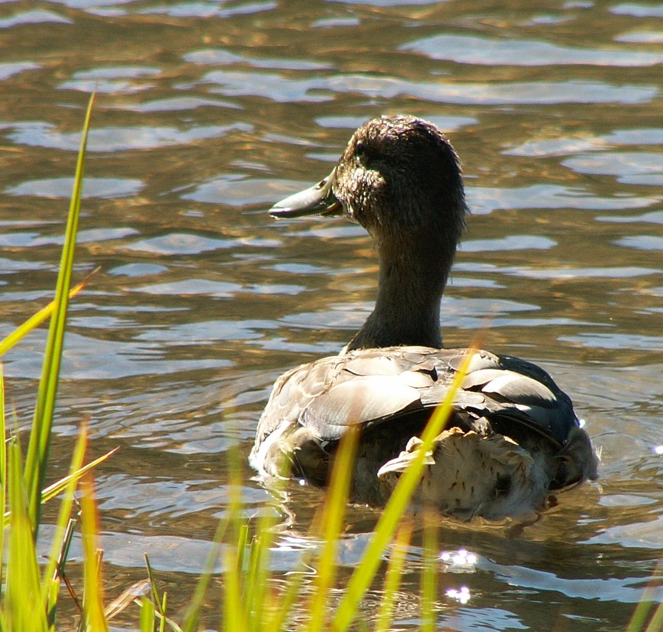 Im20070915mPICT0276sm