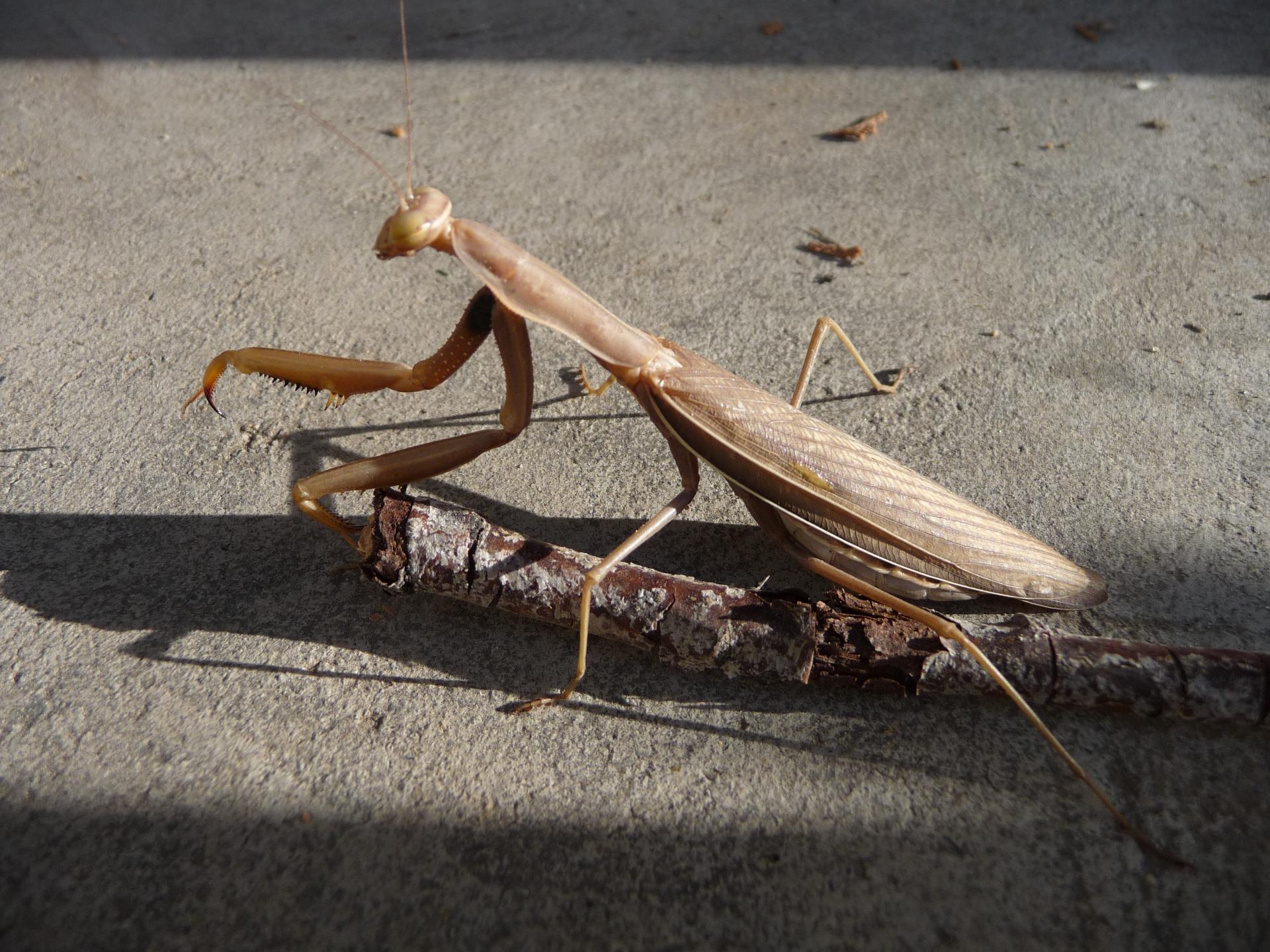 Im20091004pP1080094sm