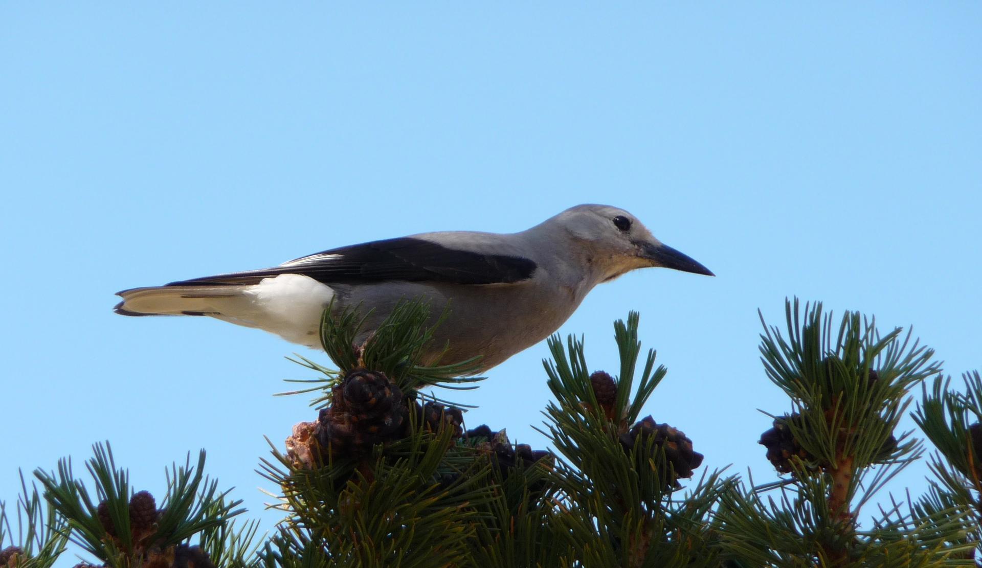 Im20100902pP1150987asm