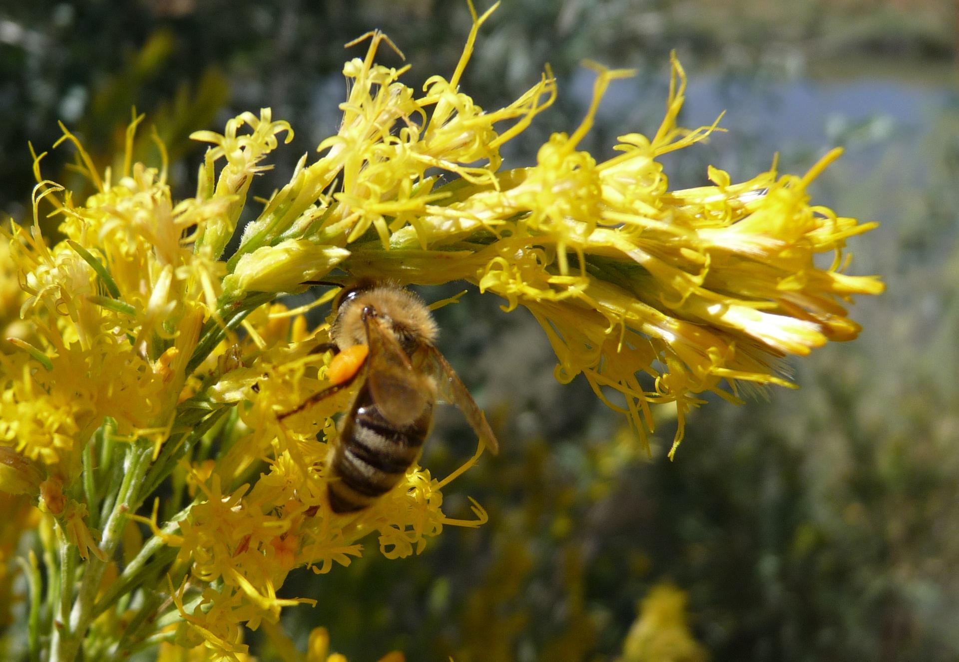 Im20100911pP1160597sm