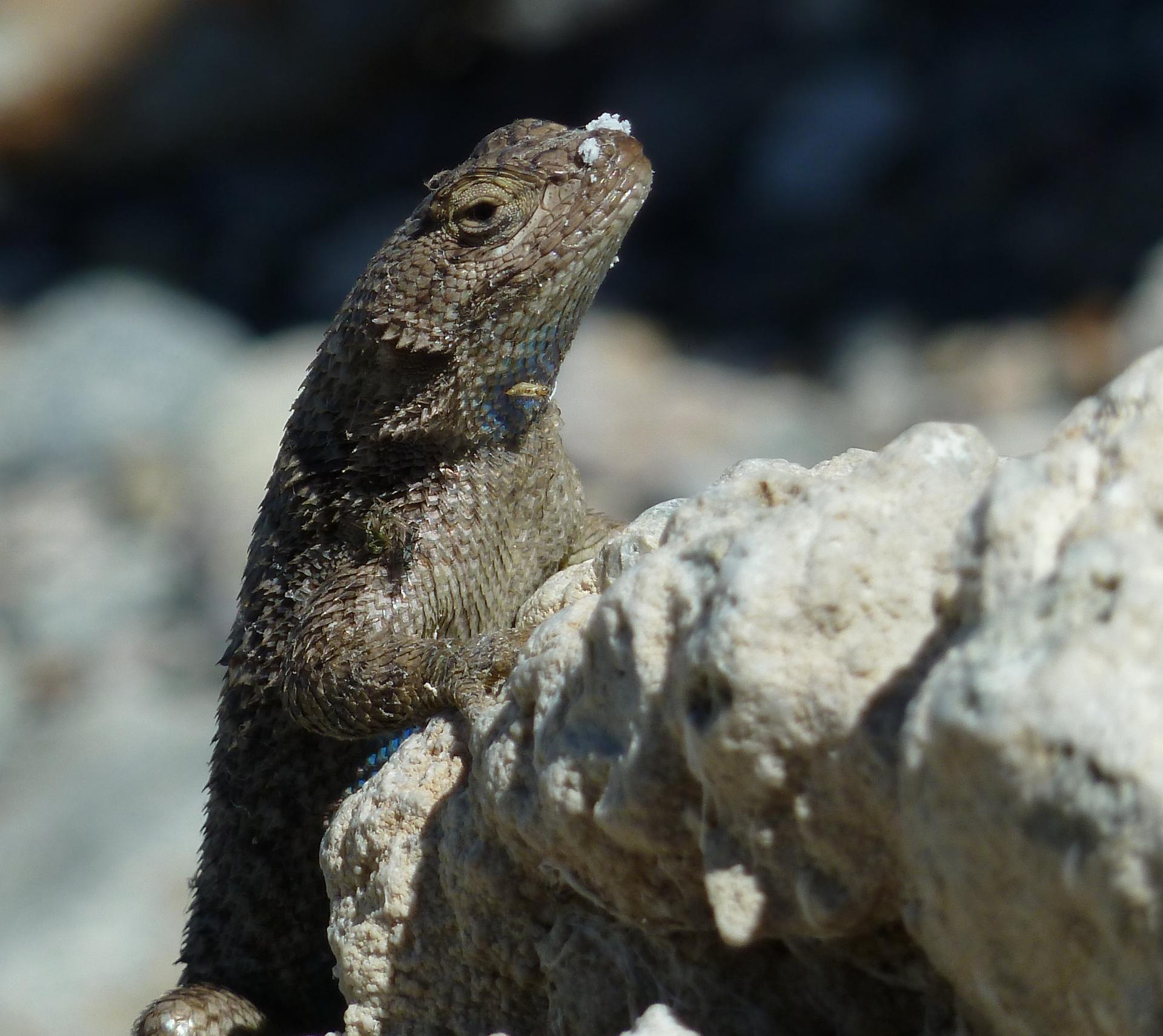 Im20110710pP1010989sm