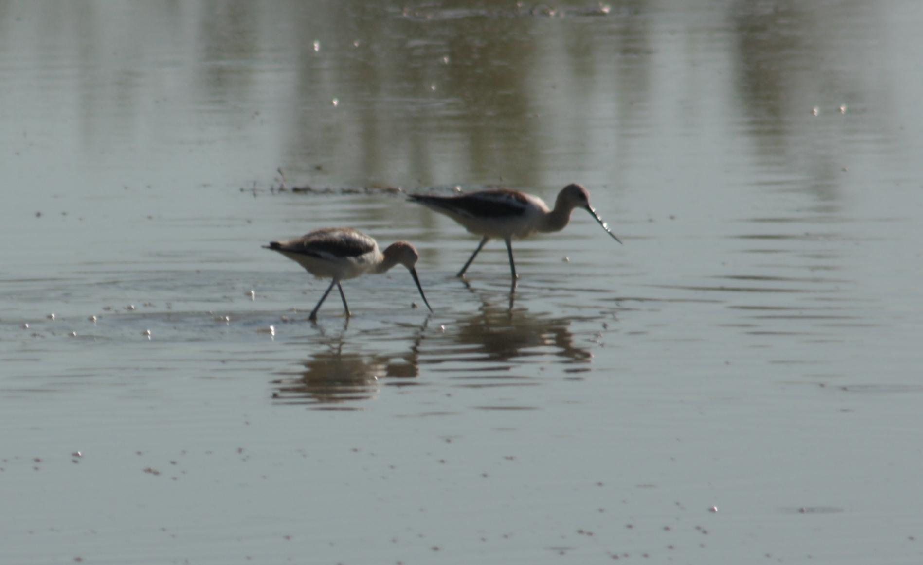 Im20110805crIMG3836sm