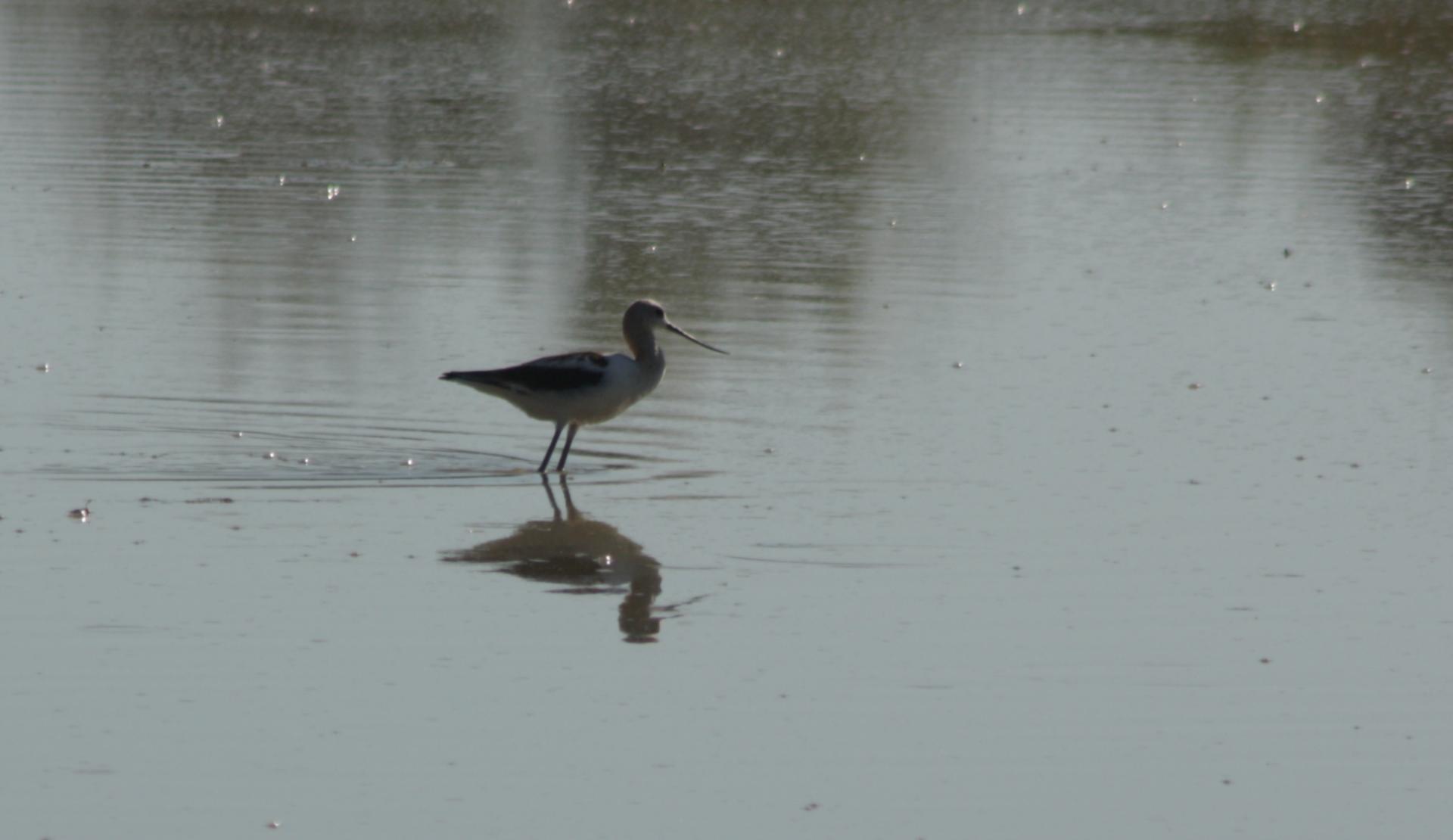 Im20110805crIMG3842sm