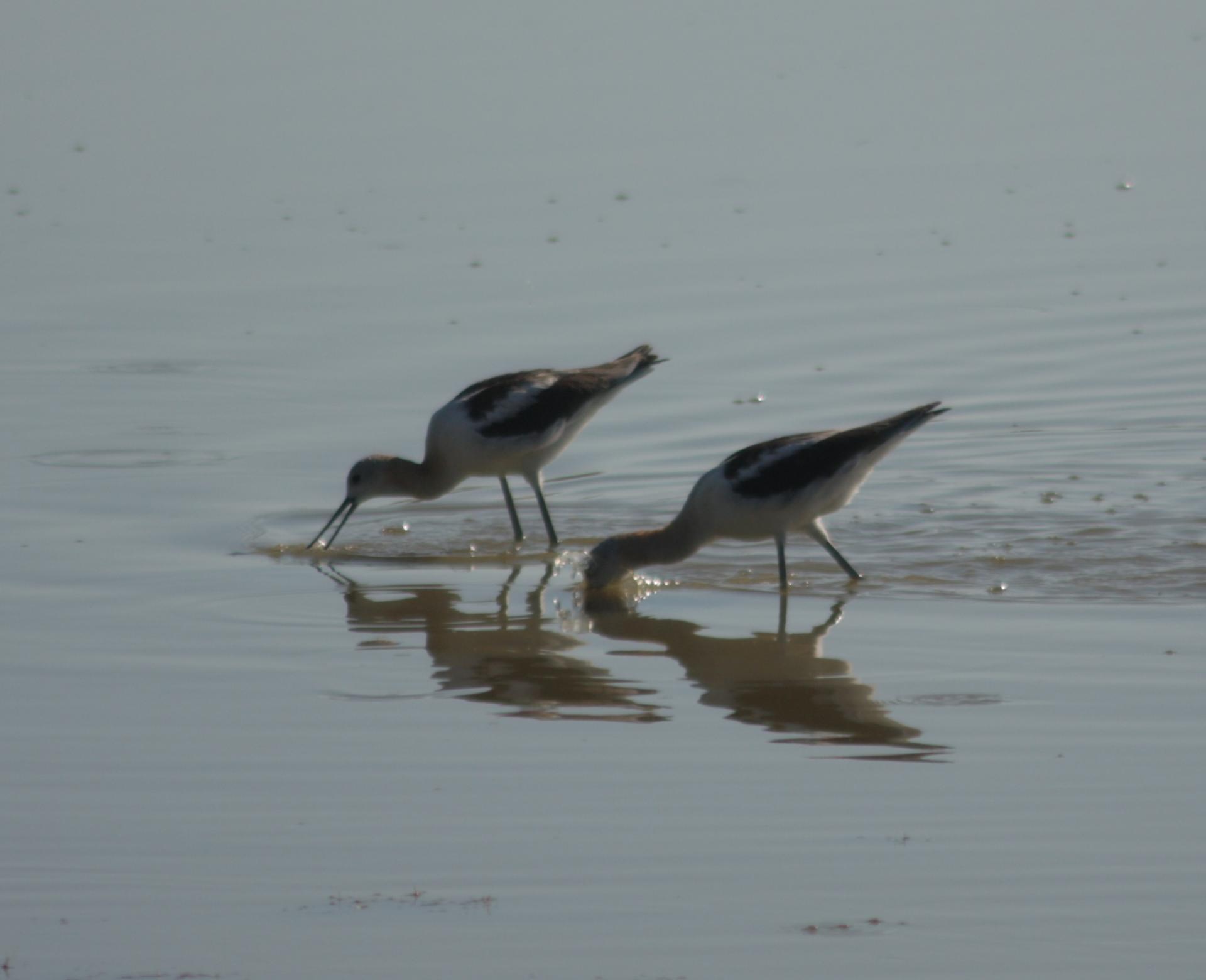 Im20110805crIMG3867sm