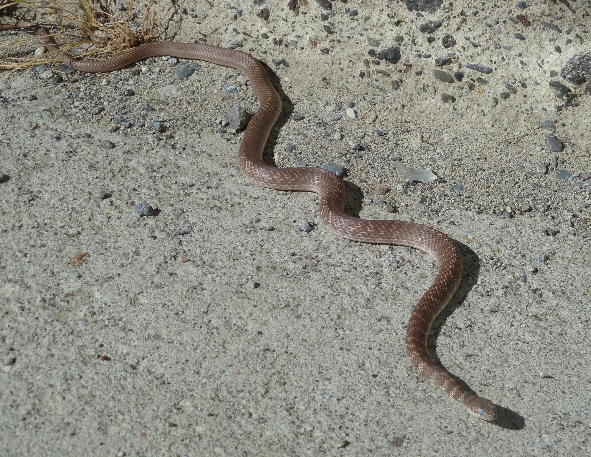 Im20111009pP1040022sm