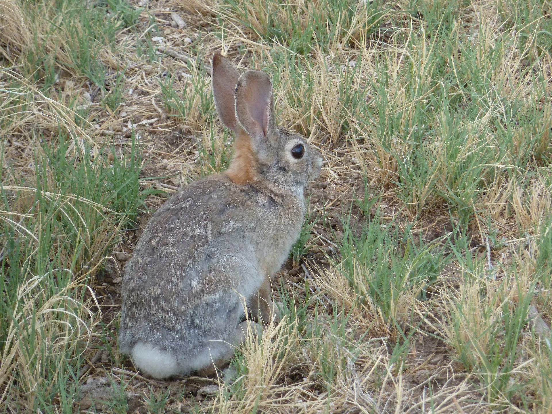 Im20120519pP1070078sm