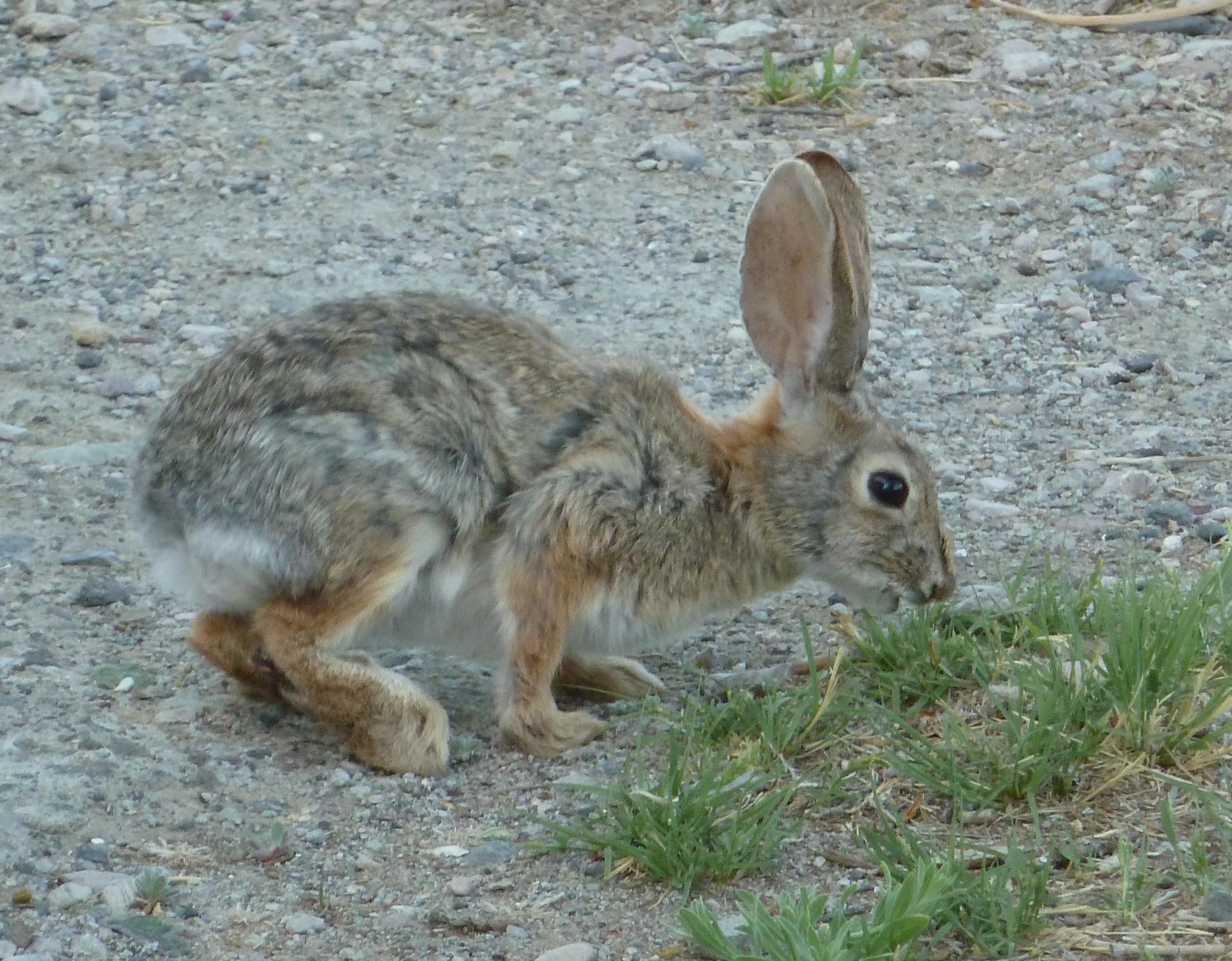 Im20120519pP1070083sm