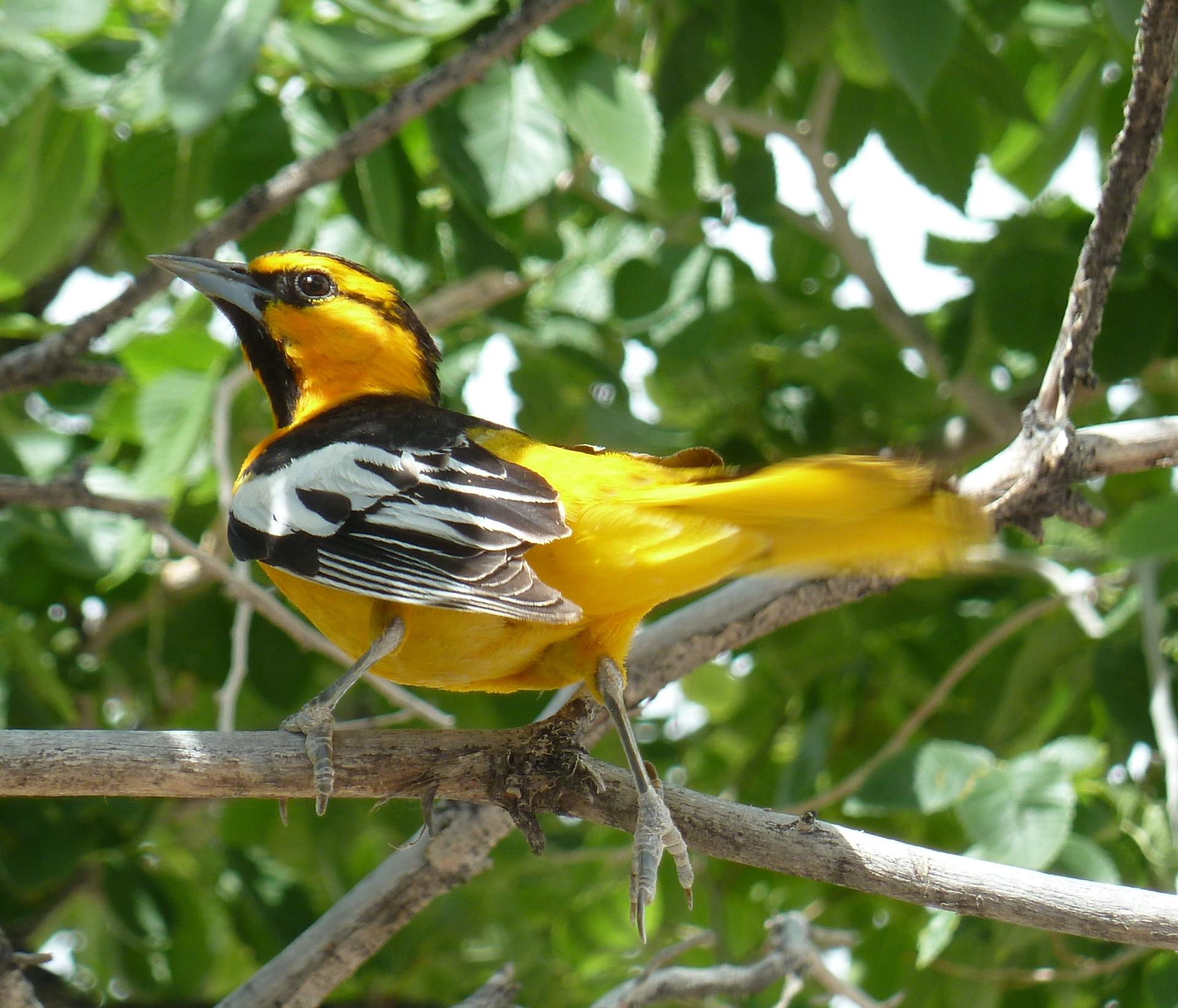 Im20120519pP1070119sm