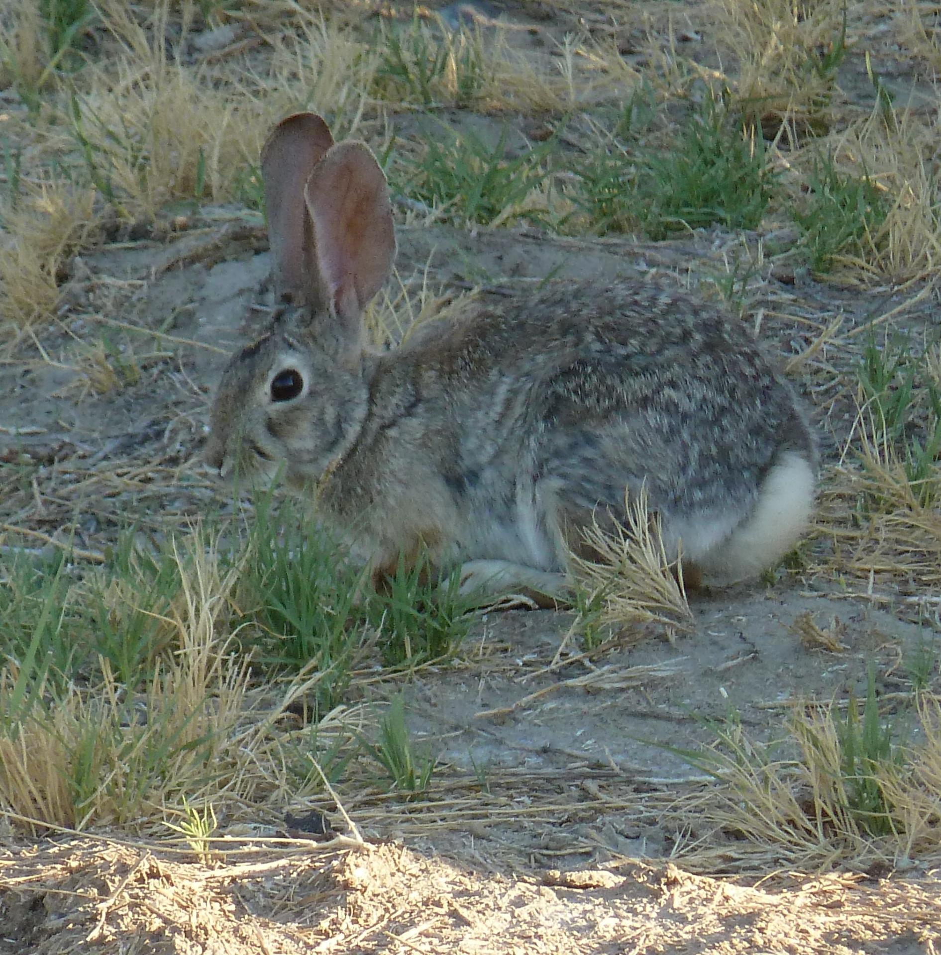 Im20120527pP1070161sm