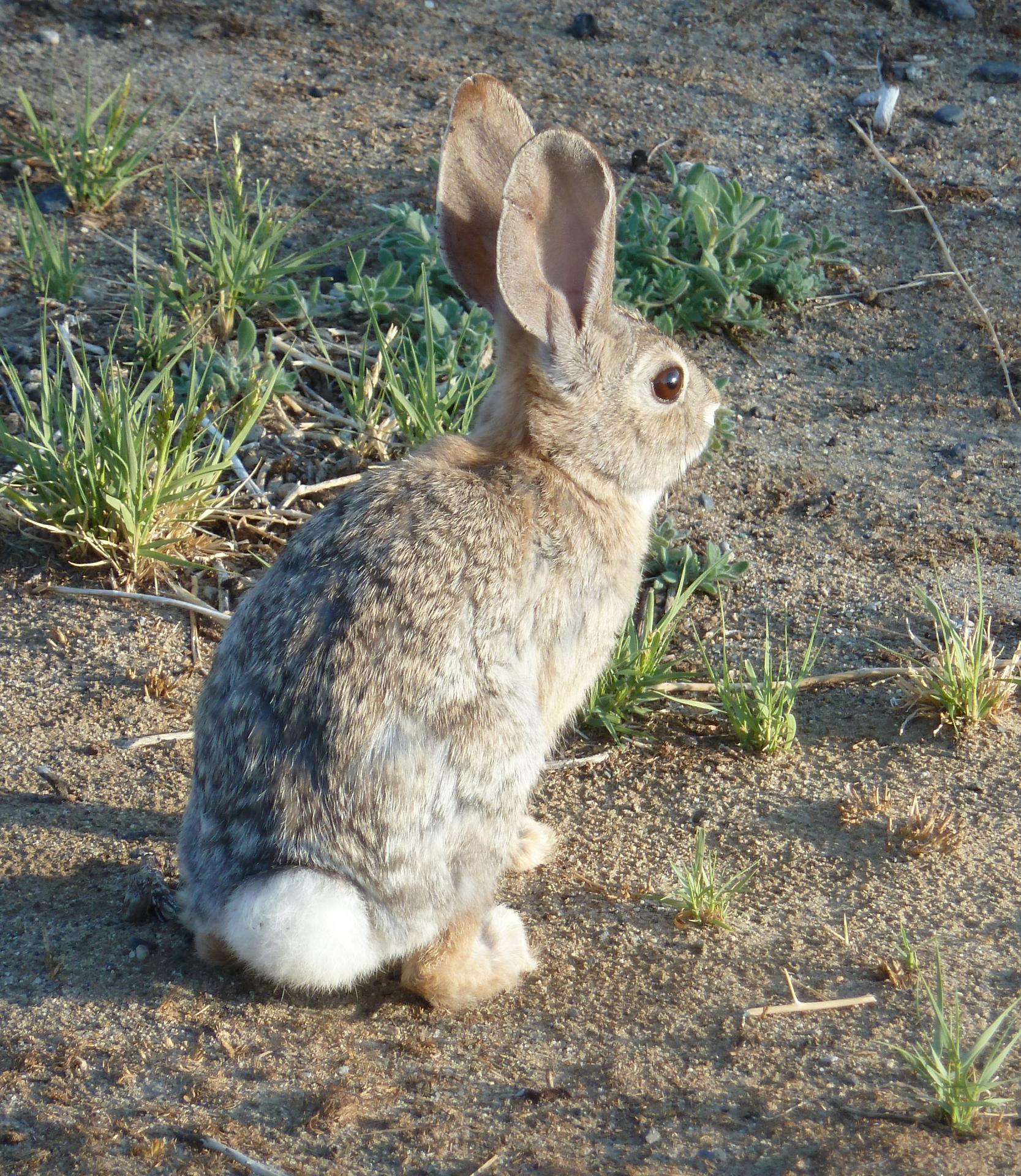 Im20120527pP1070162sm