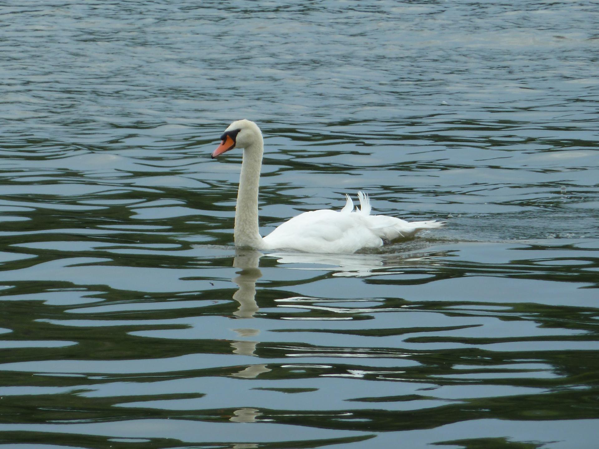 Im20120727pP1070960sm