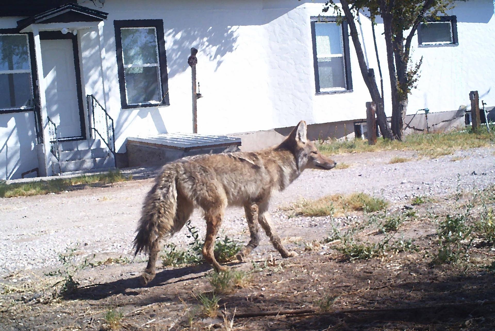 Im20121008pPICT0136sm