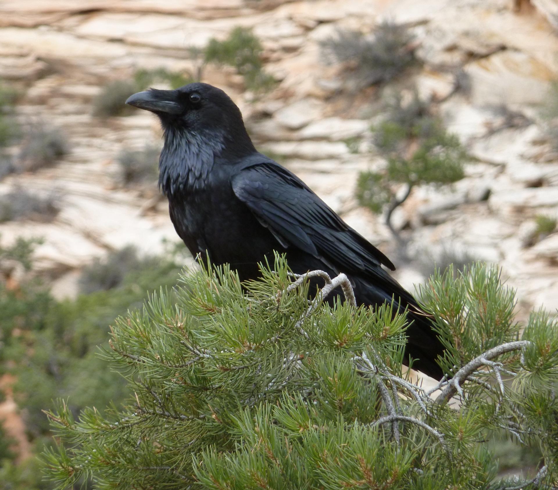 Im20121101pP1090525sm