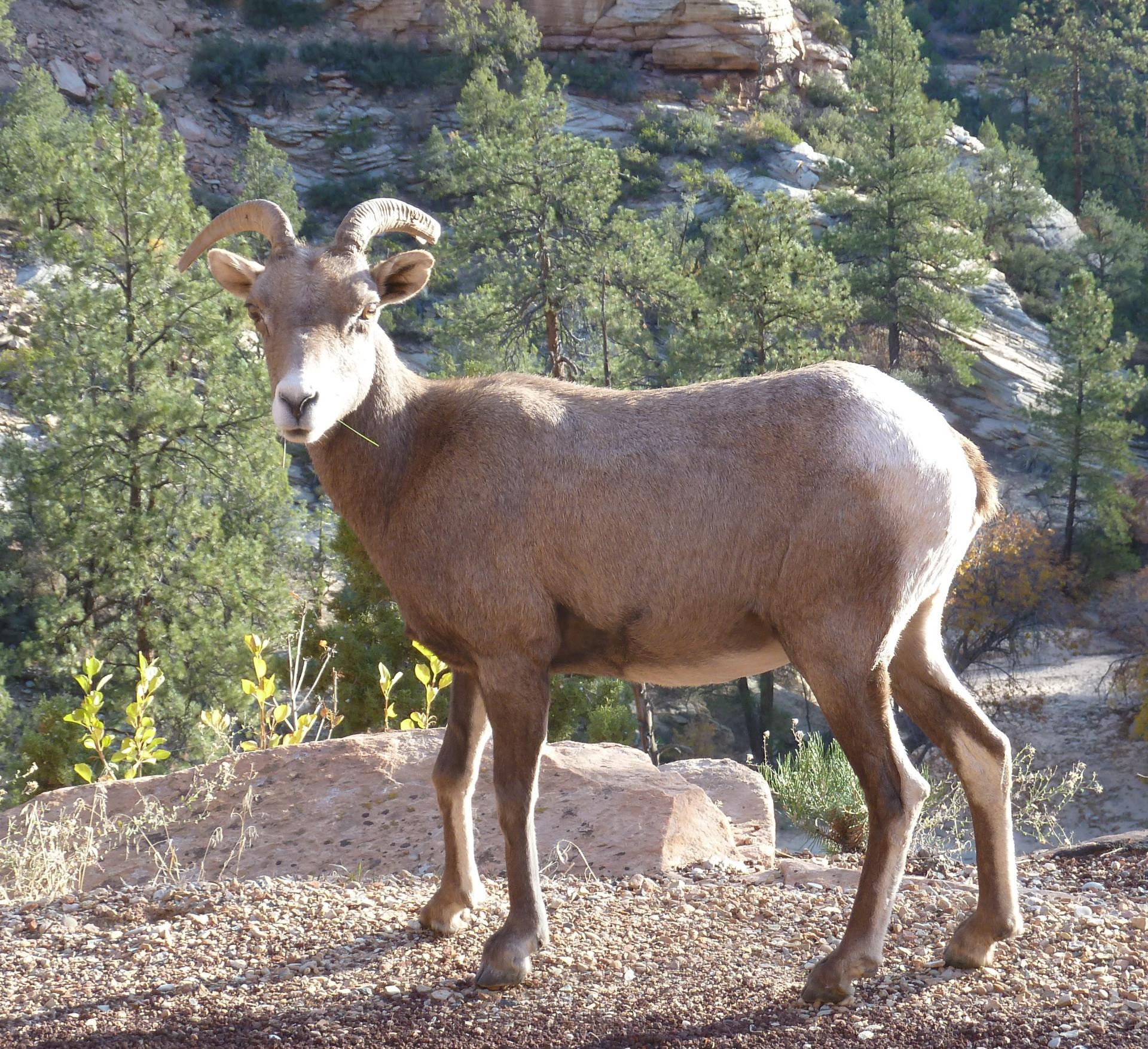 Im20121102pP1090637sm