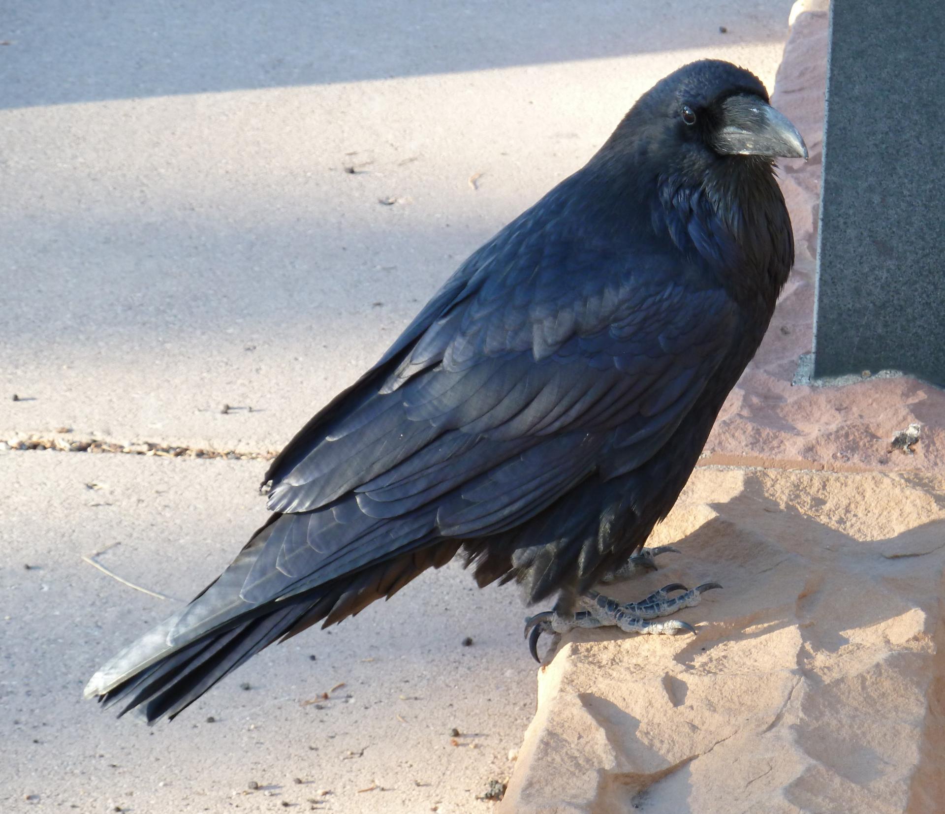 Im20121102pP1090715sm