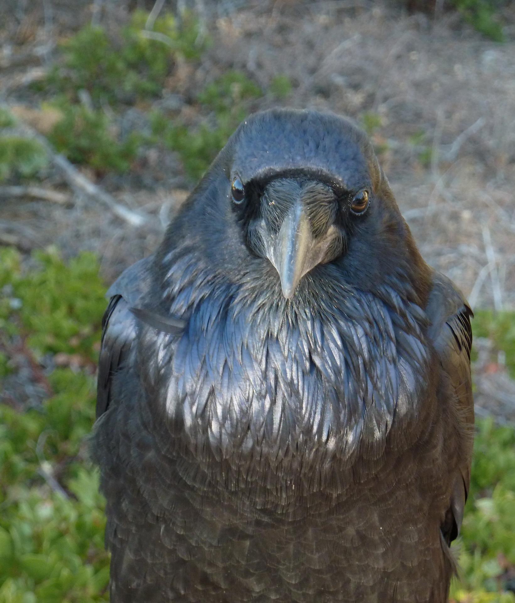 Im20121102pP1090723sm