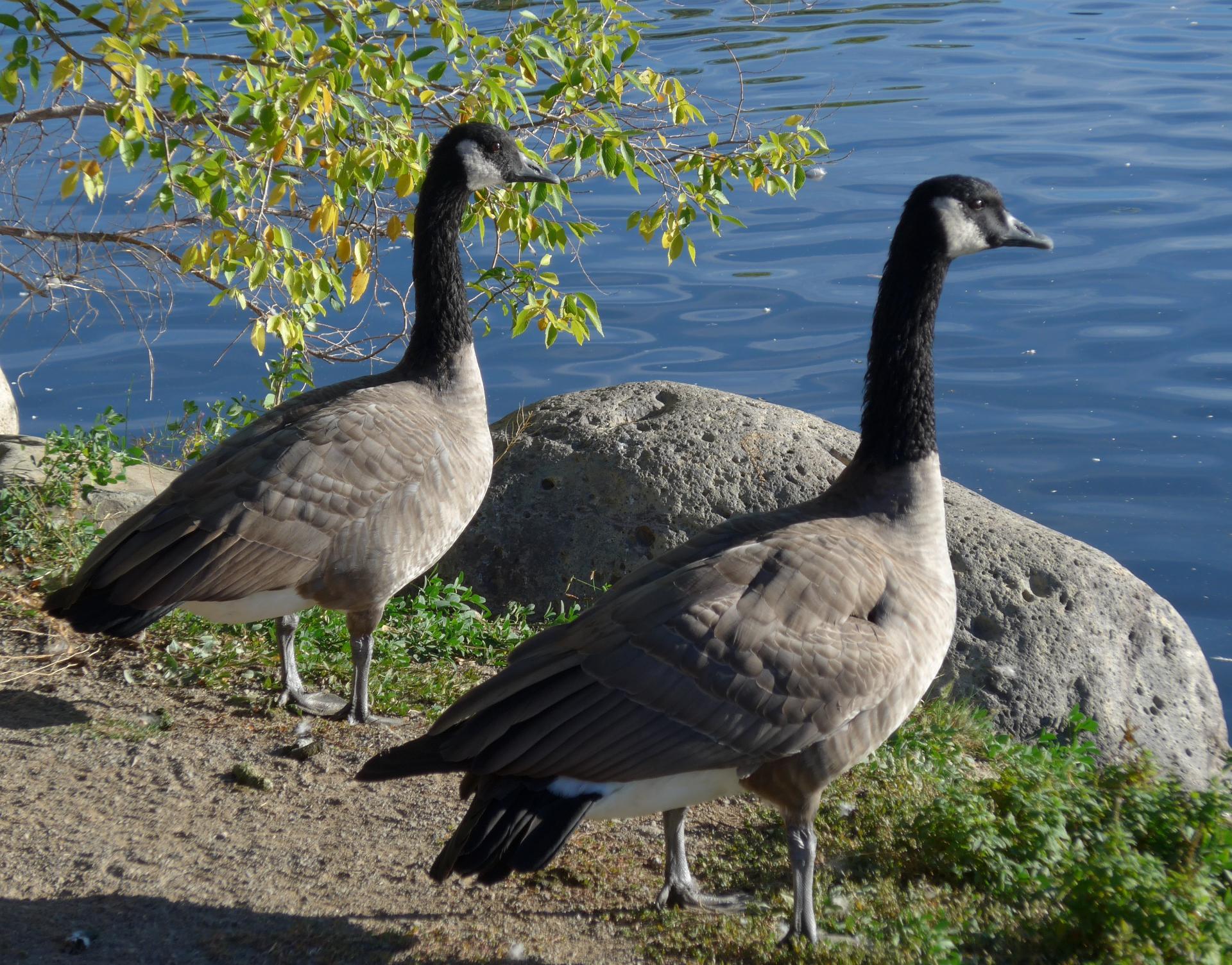 Im20131004pP1010840sm