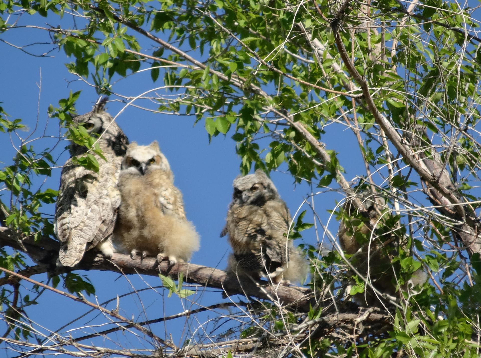 Im20140428sDSC01422sm