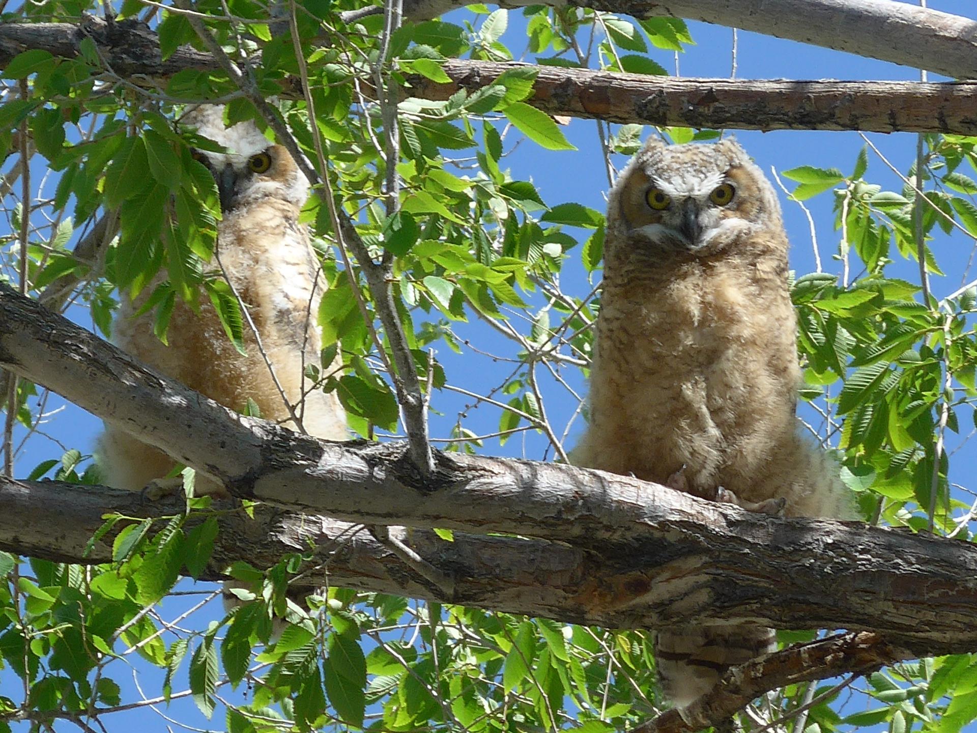 Im20140512pP1050001sm