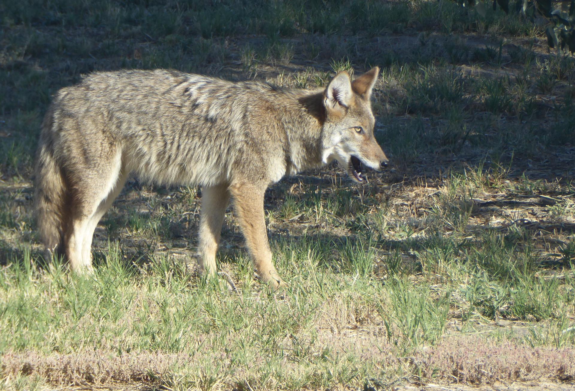 Im20151008pjP1000494sm