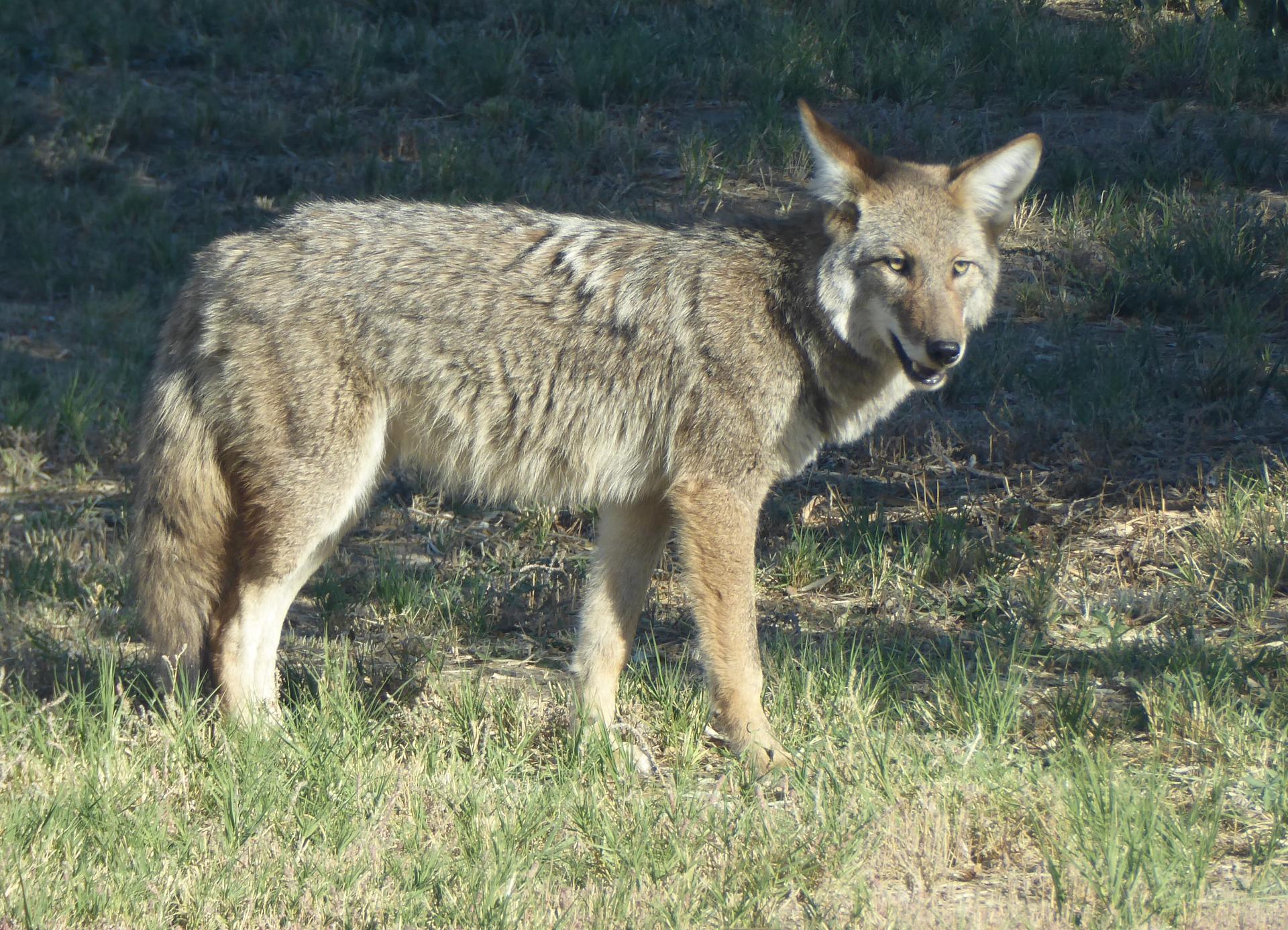 Im20151008pjP1000496sm