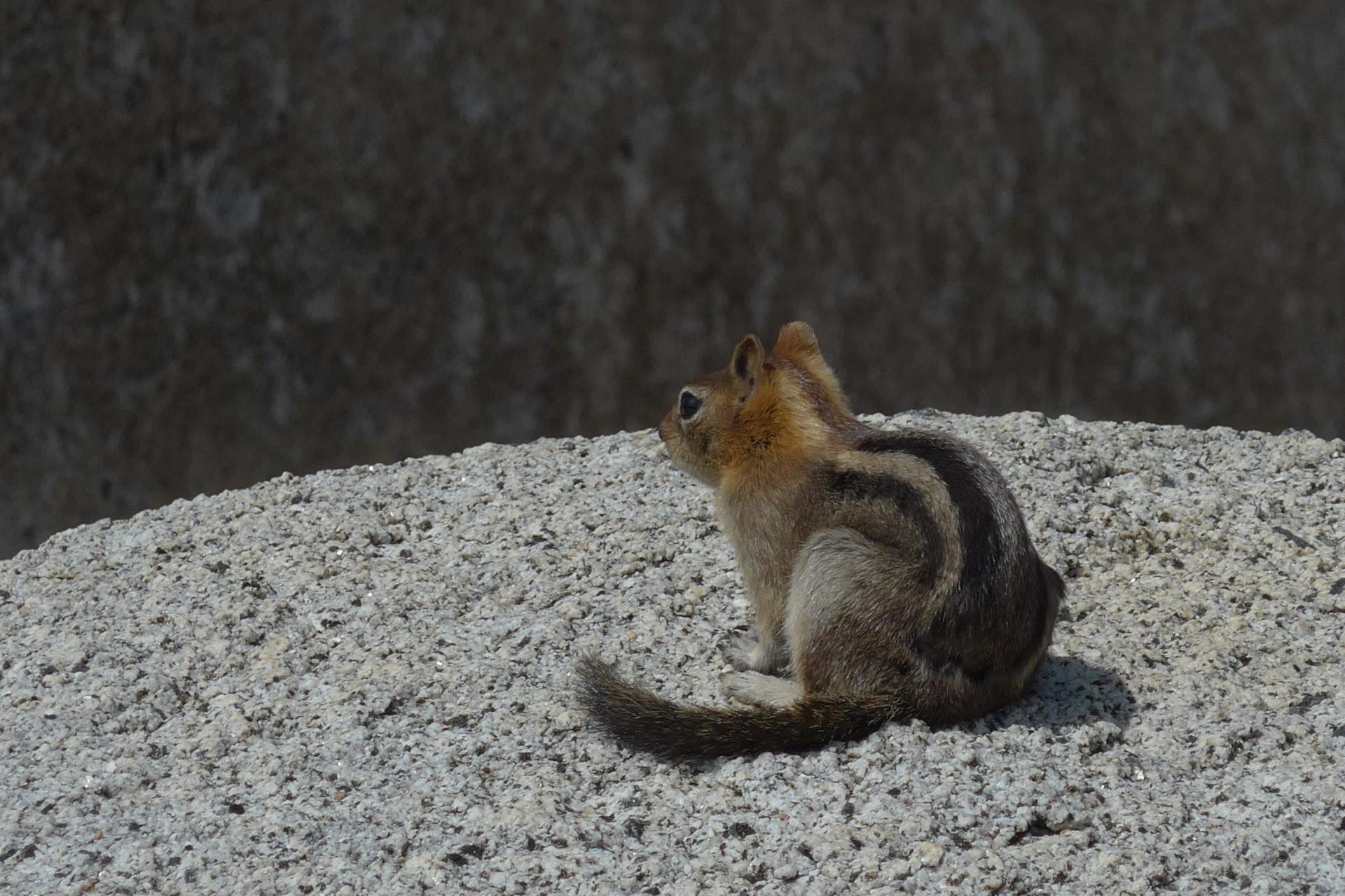 Im20160421pdP1130554sm