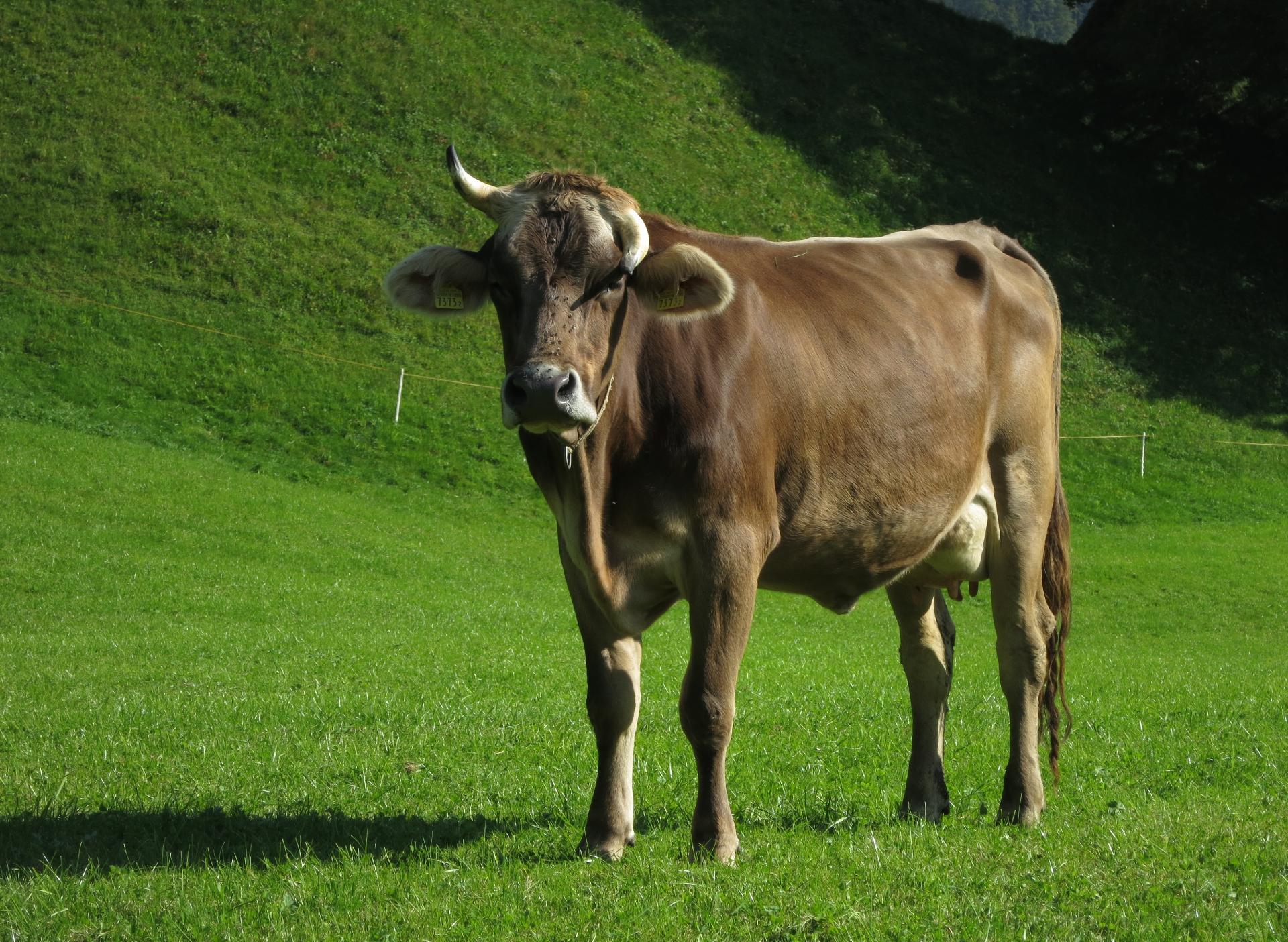 Im20161005cjpIMG_3767sm