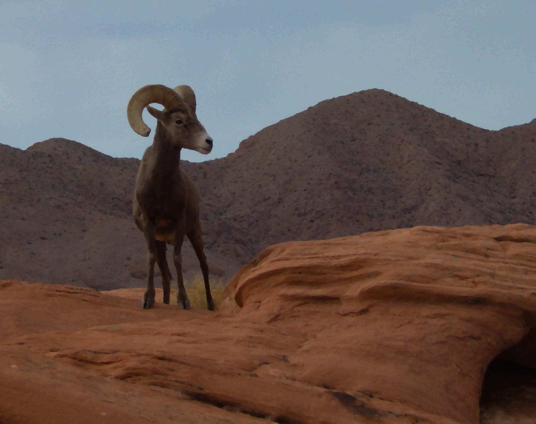 Im20181227rw2P1030572rw2bsm