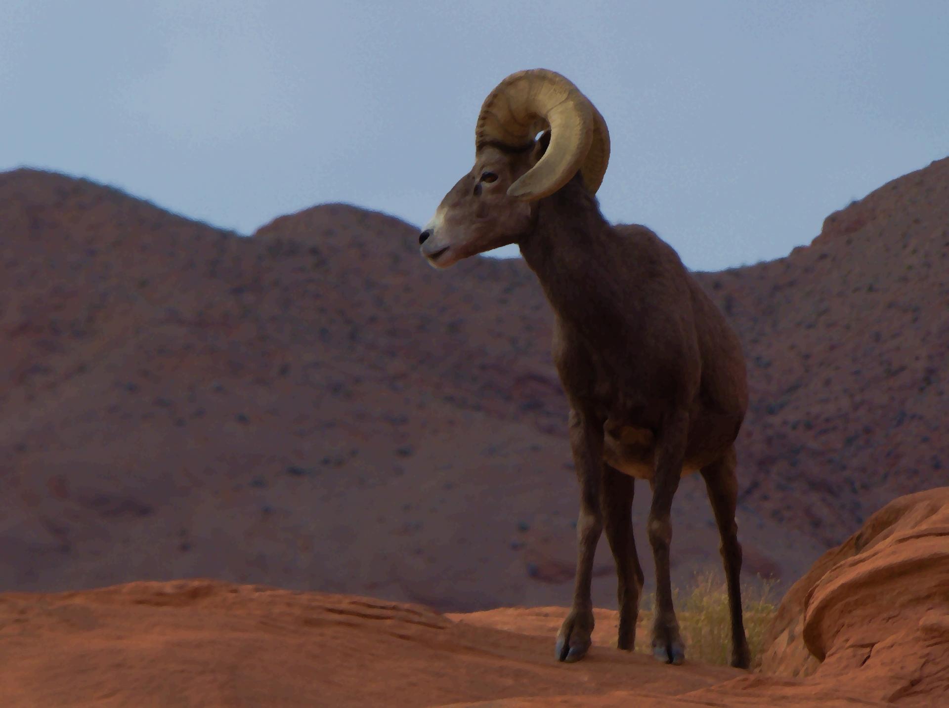 Im20181227rw2P1030575rw2bsm