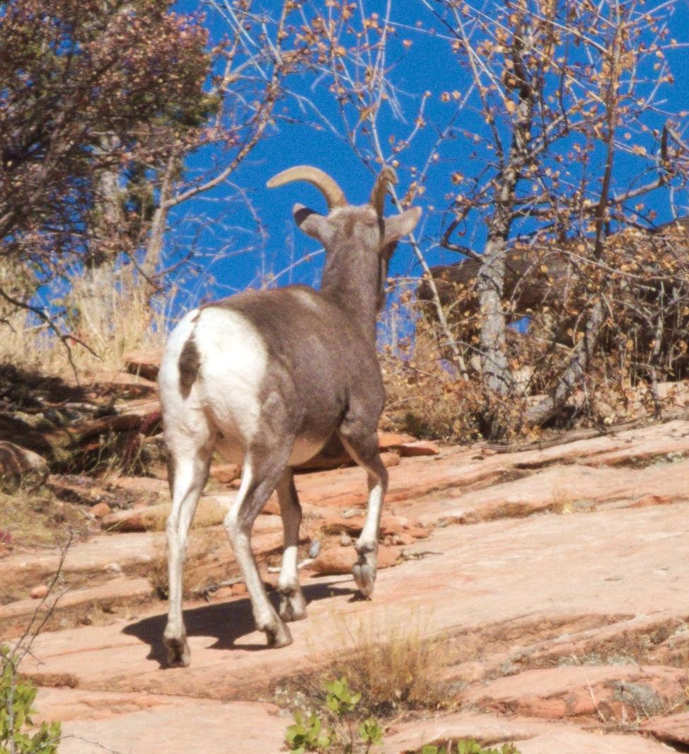 Im20191115crwdjP1240265crwBsm