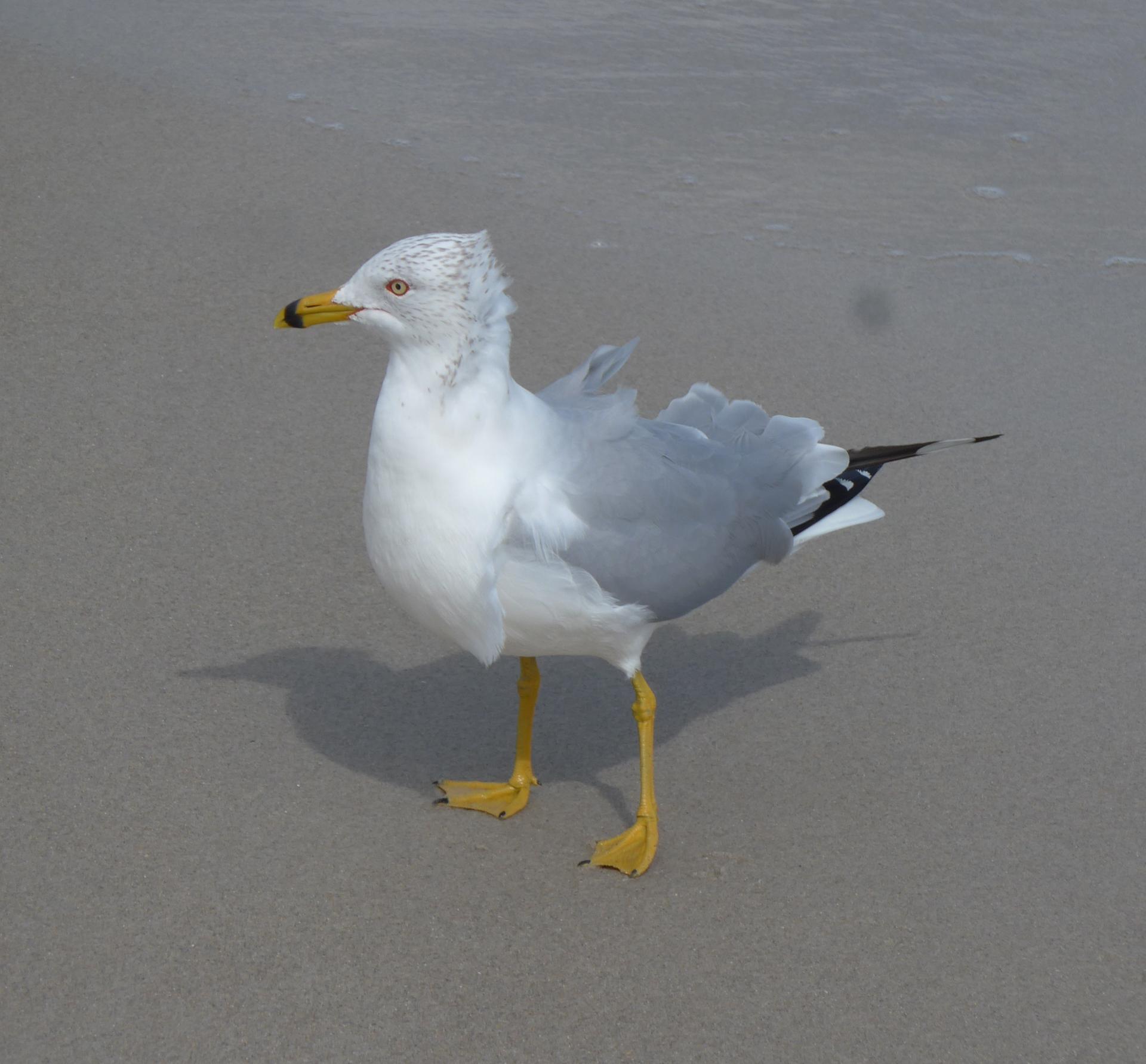 Im20200216pdP1240828sm