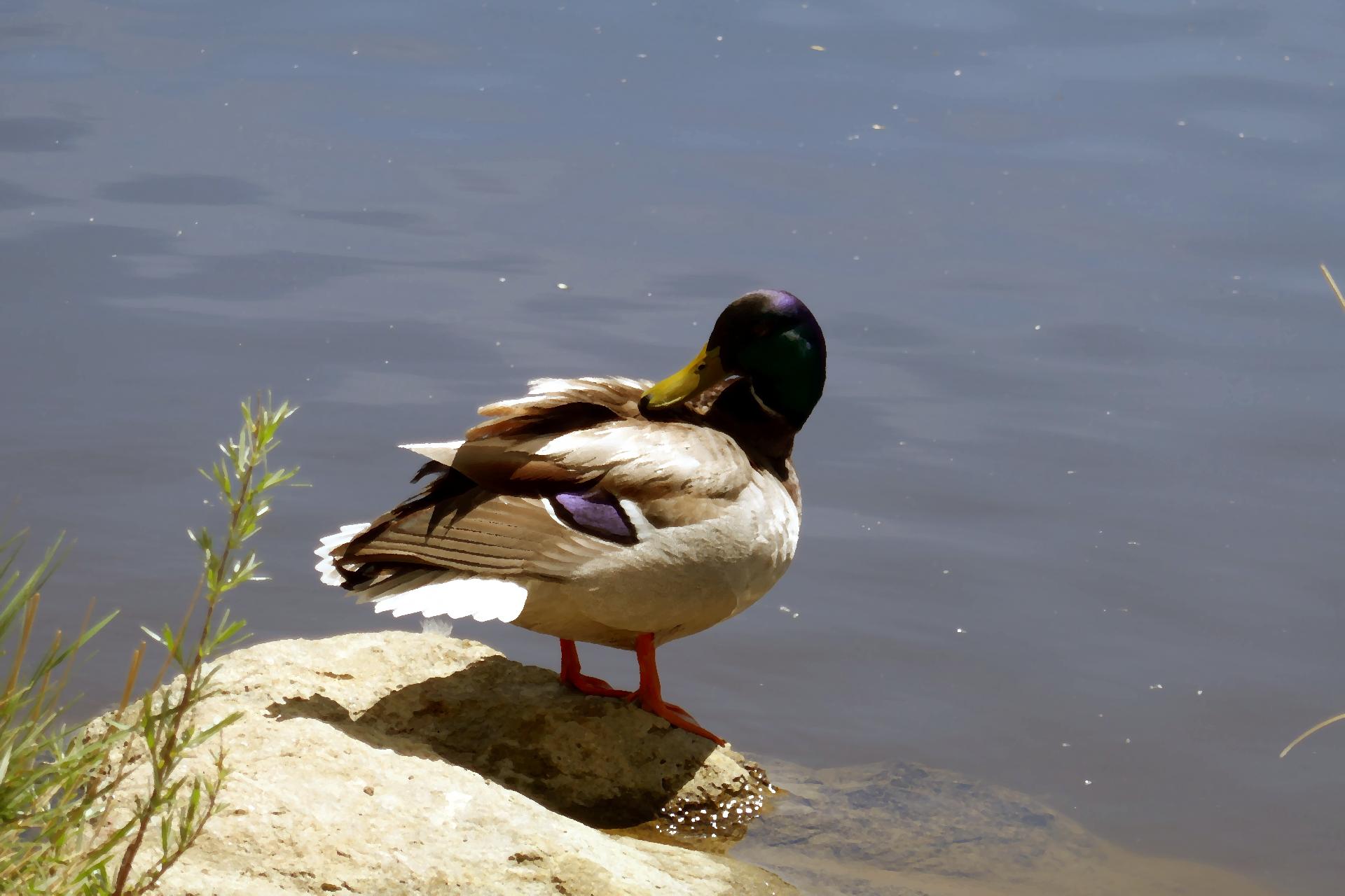 Im20220528P1060063sm