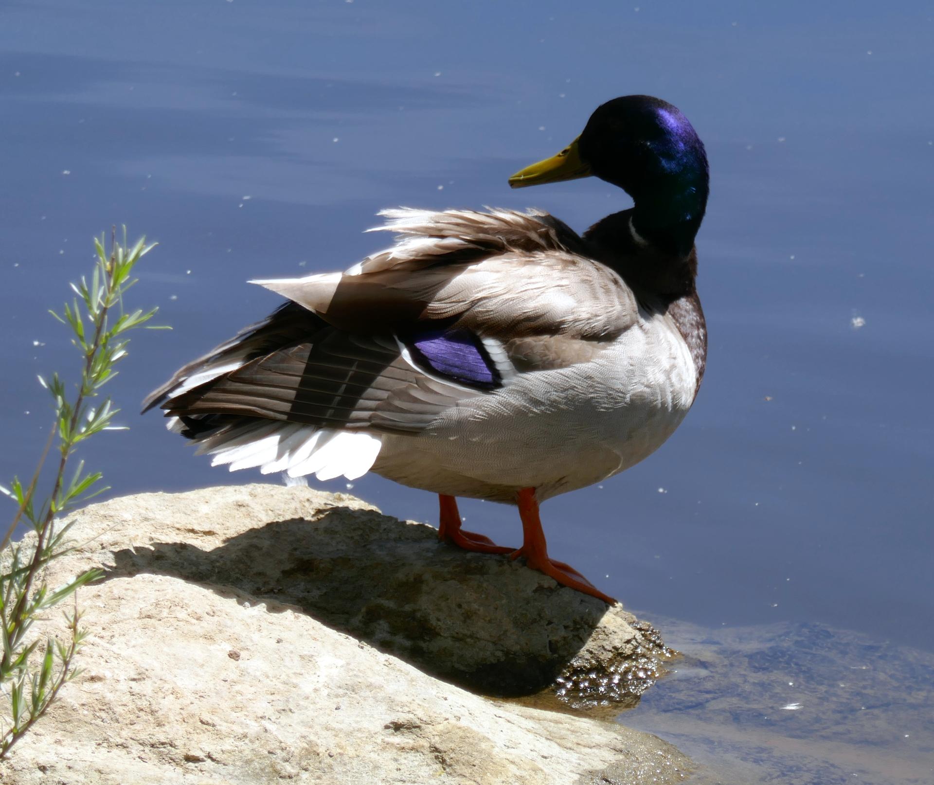 Im20220528P1060064sm